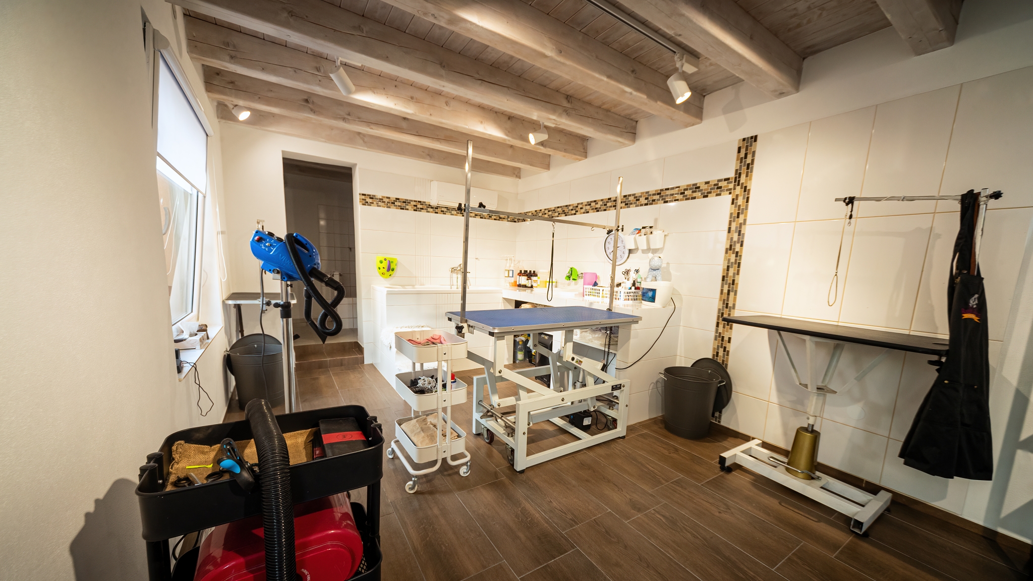 Salon pro psy ROYALPETS Veronika Čechová foto 4