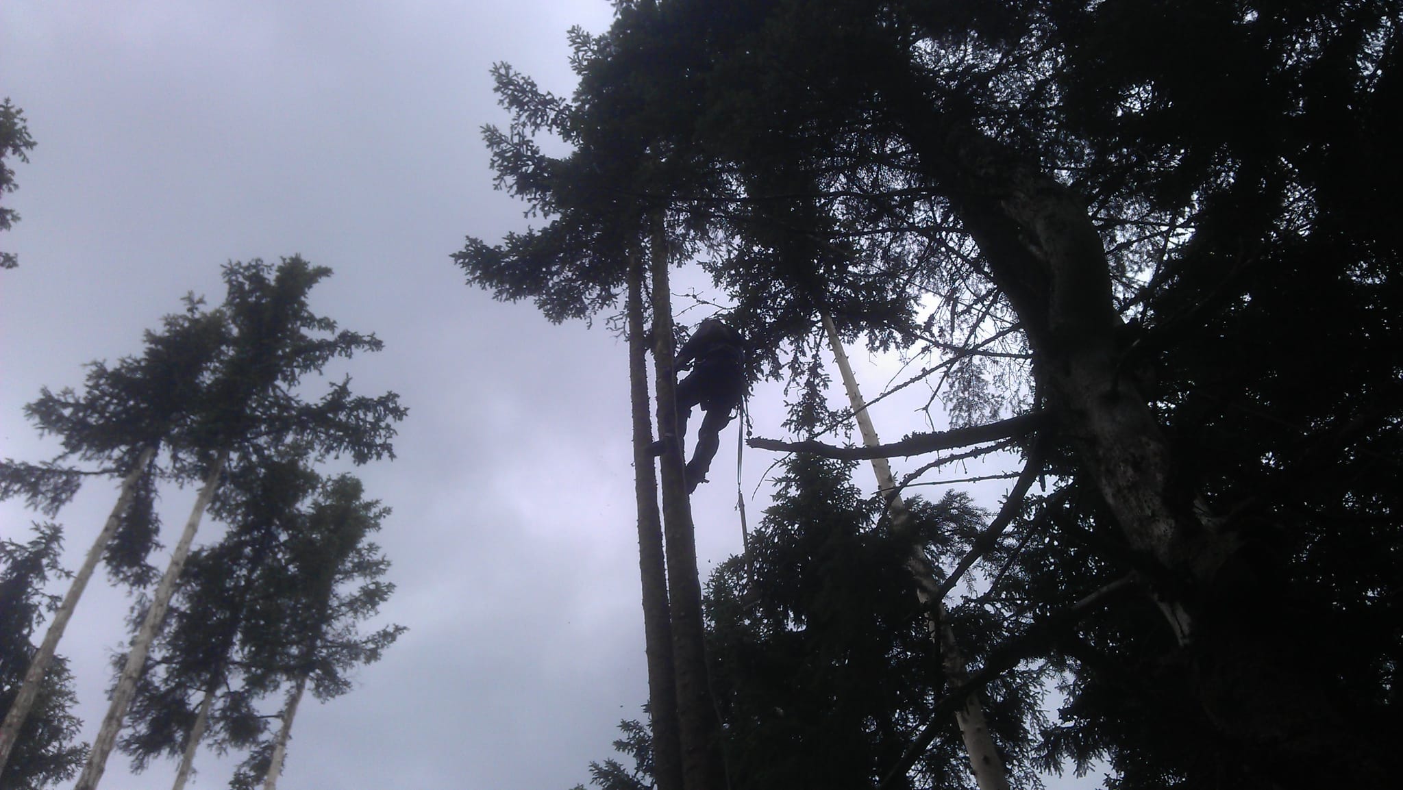 Zahradnické a úklidové práce foto 3