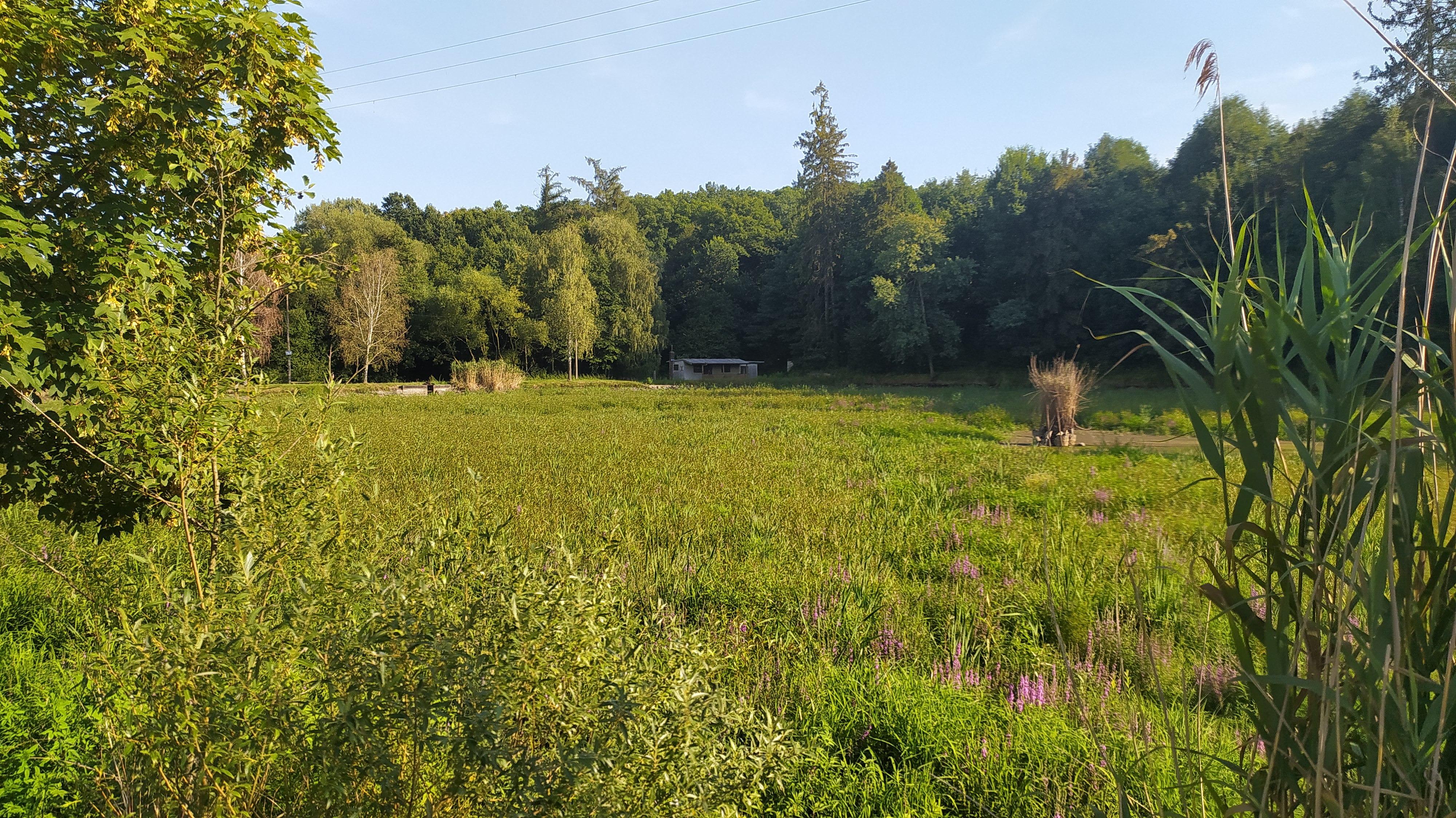 Multifunkční nabíjecí stanice Ludgeřovice foto 5