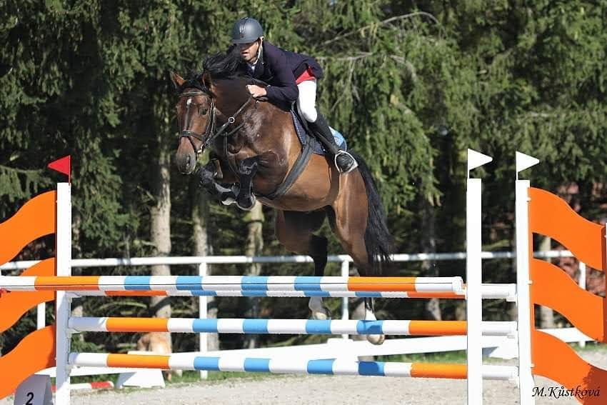 Jezdecký spolek Zahrádka Faunus foto 3