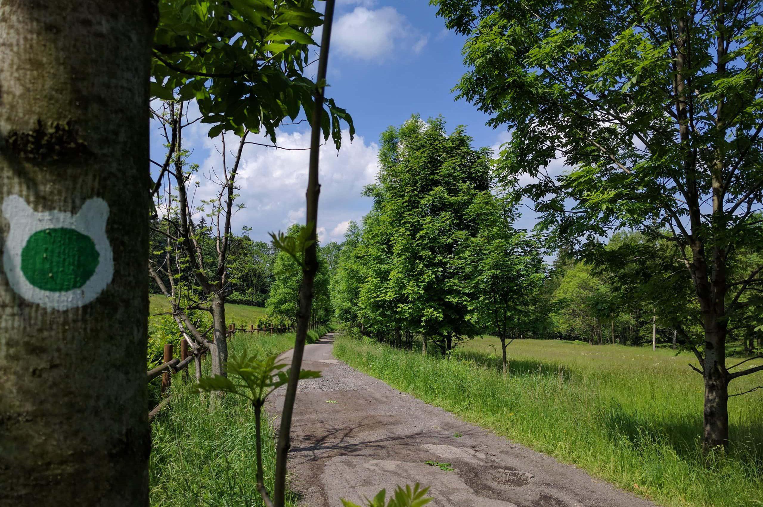 Po medvědích tlapkách