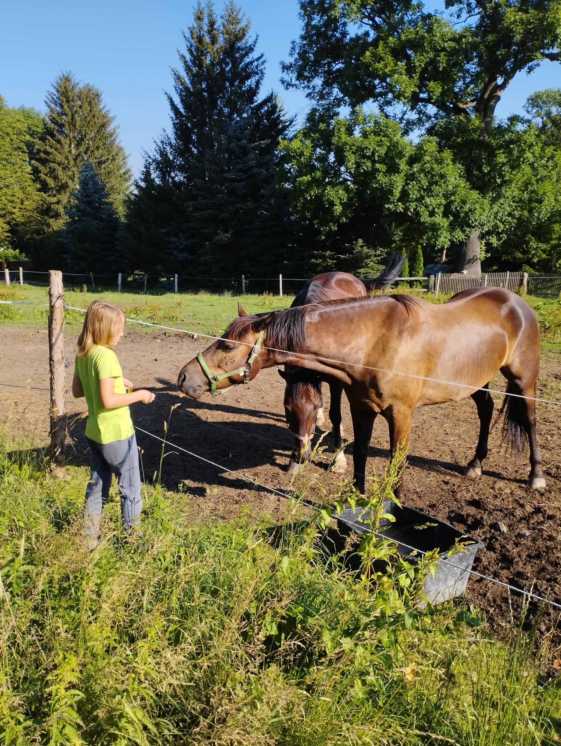 Country club Konírna foto 5