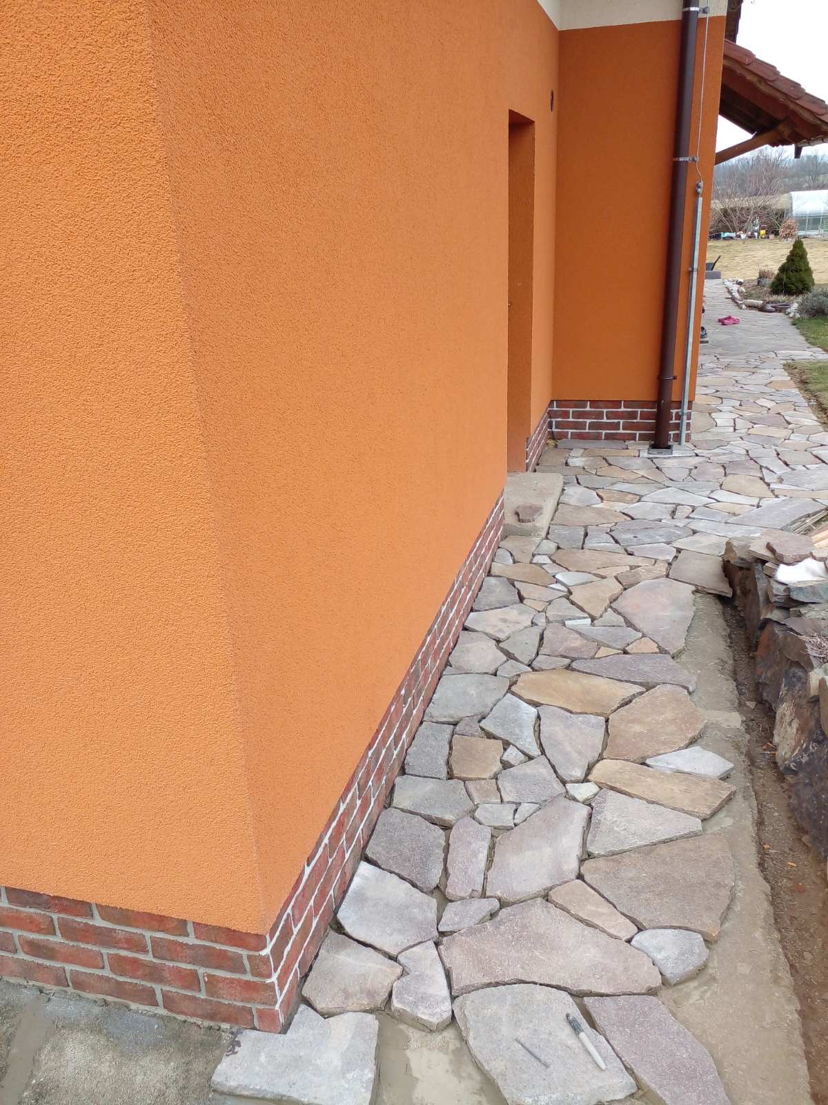 PALELI foto 3