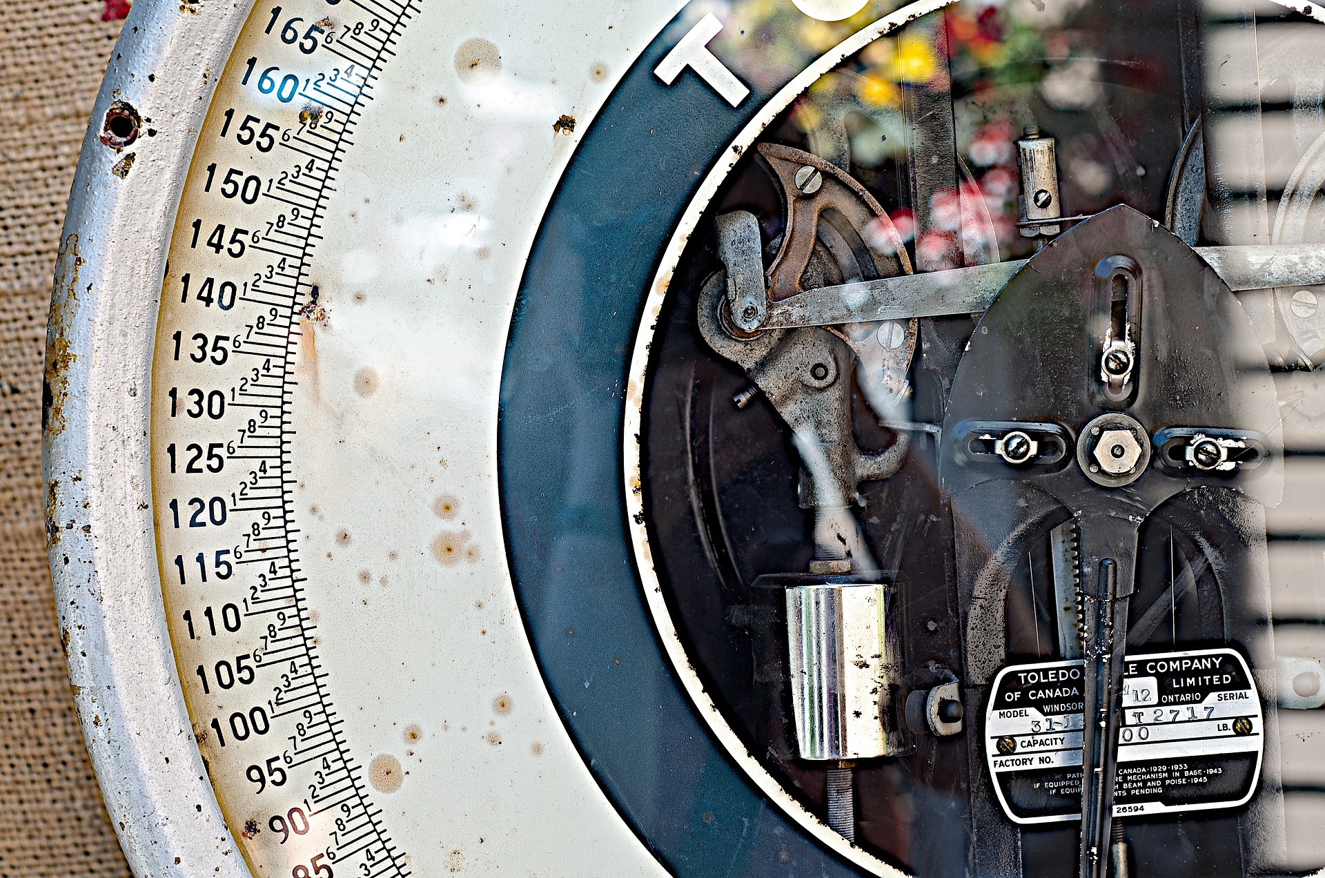 Příprava na úřední ověření vah ČMI-cejchování vah