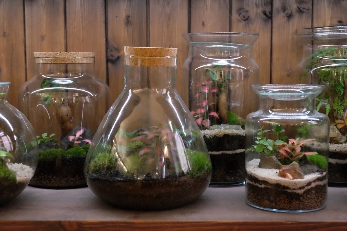 Milujeme mech | e-shop foto 4