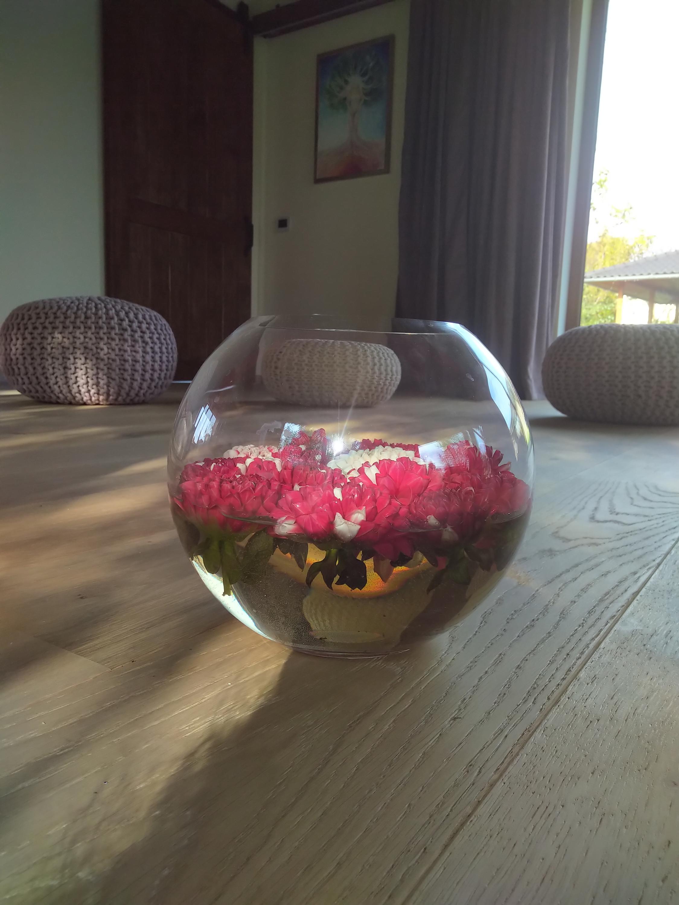 Kosmetika Diana Novotná - celostní péče o ženu foto 3