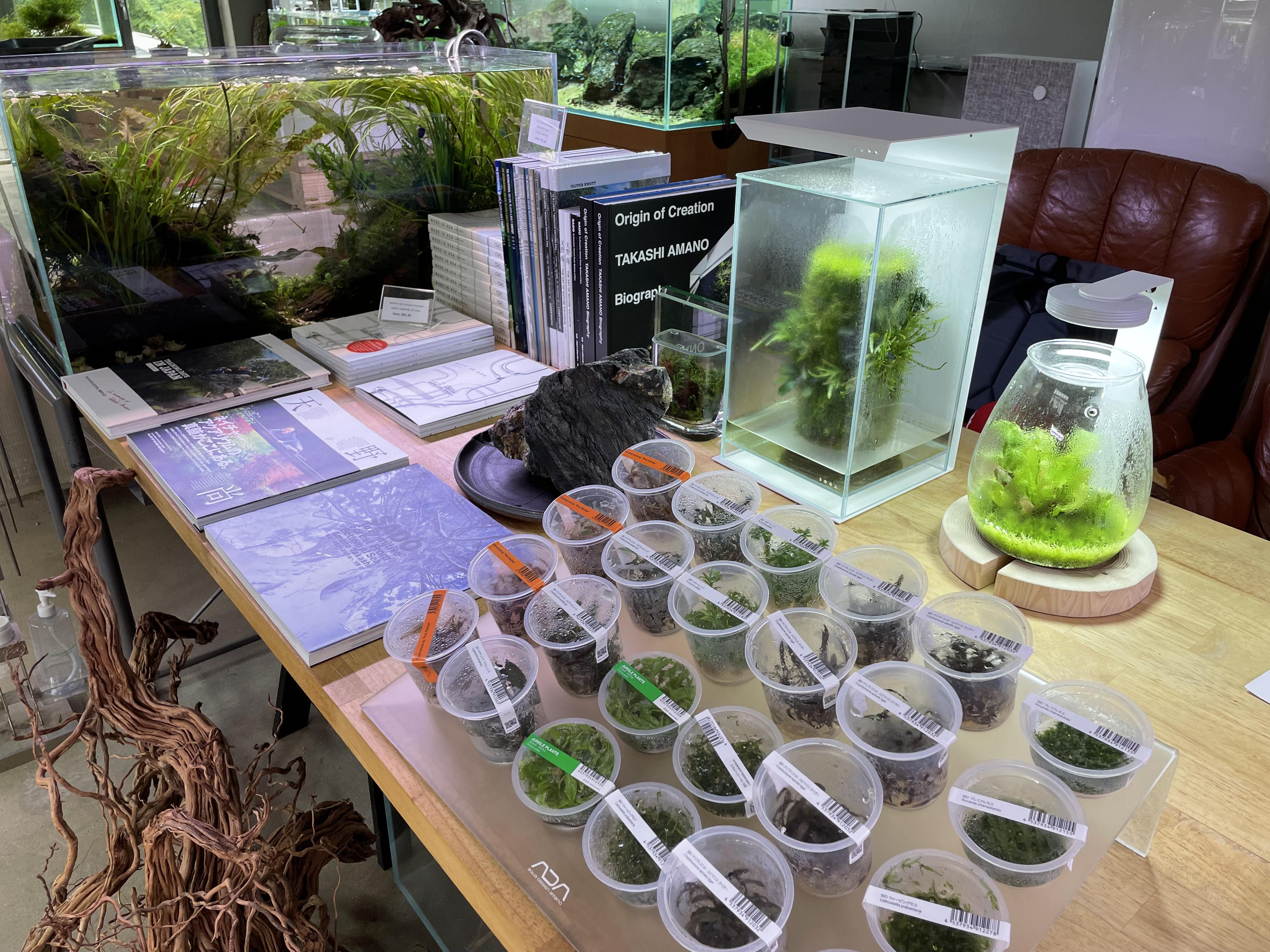 Akvaria-aquascape.cz foto 2