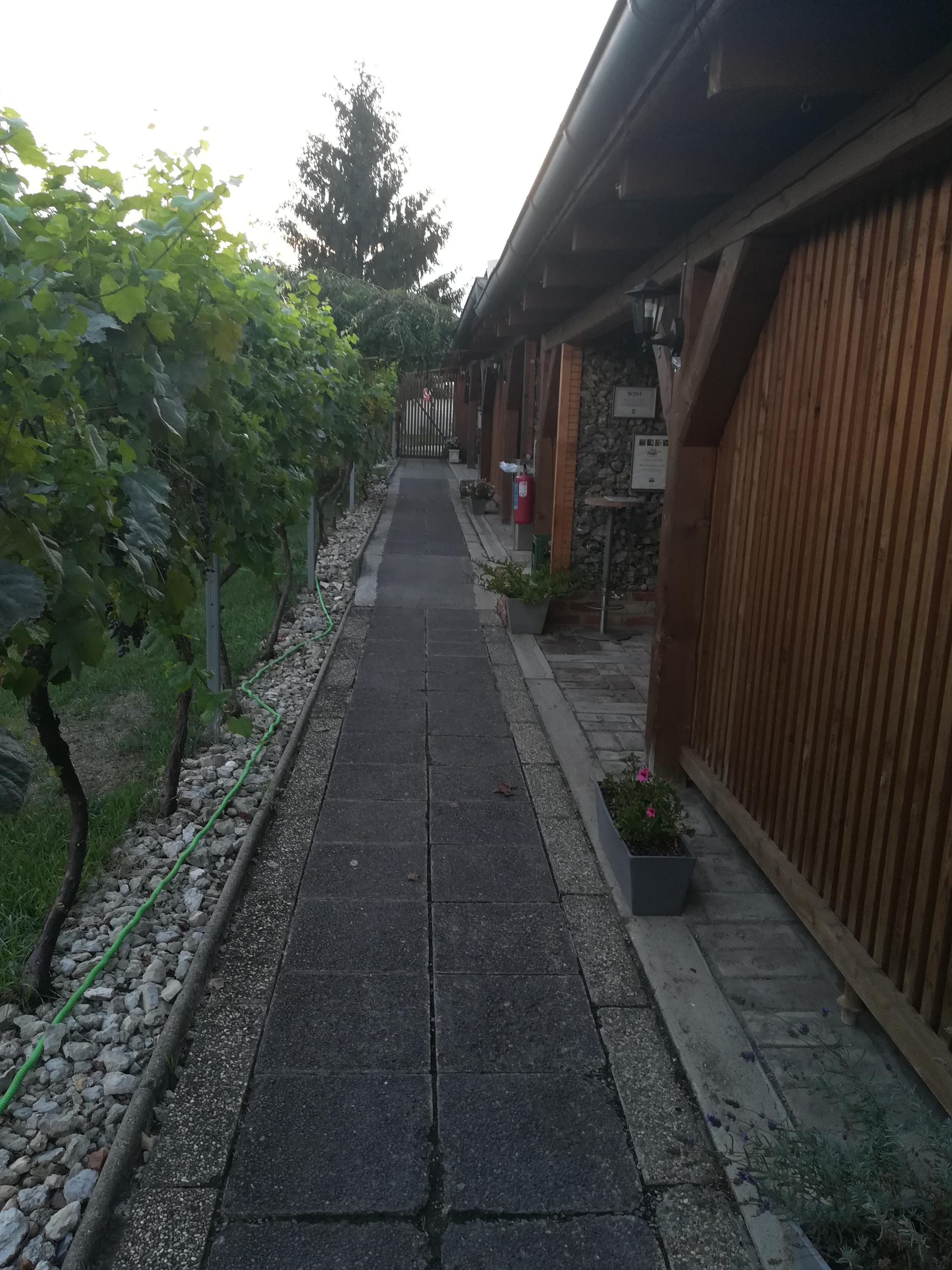 VÍNO LÍPA MIKULOV s.r.o. foto 3