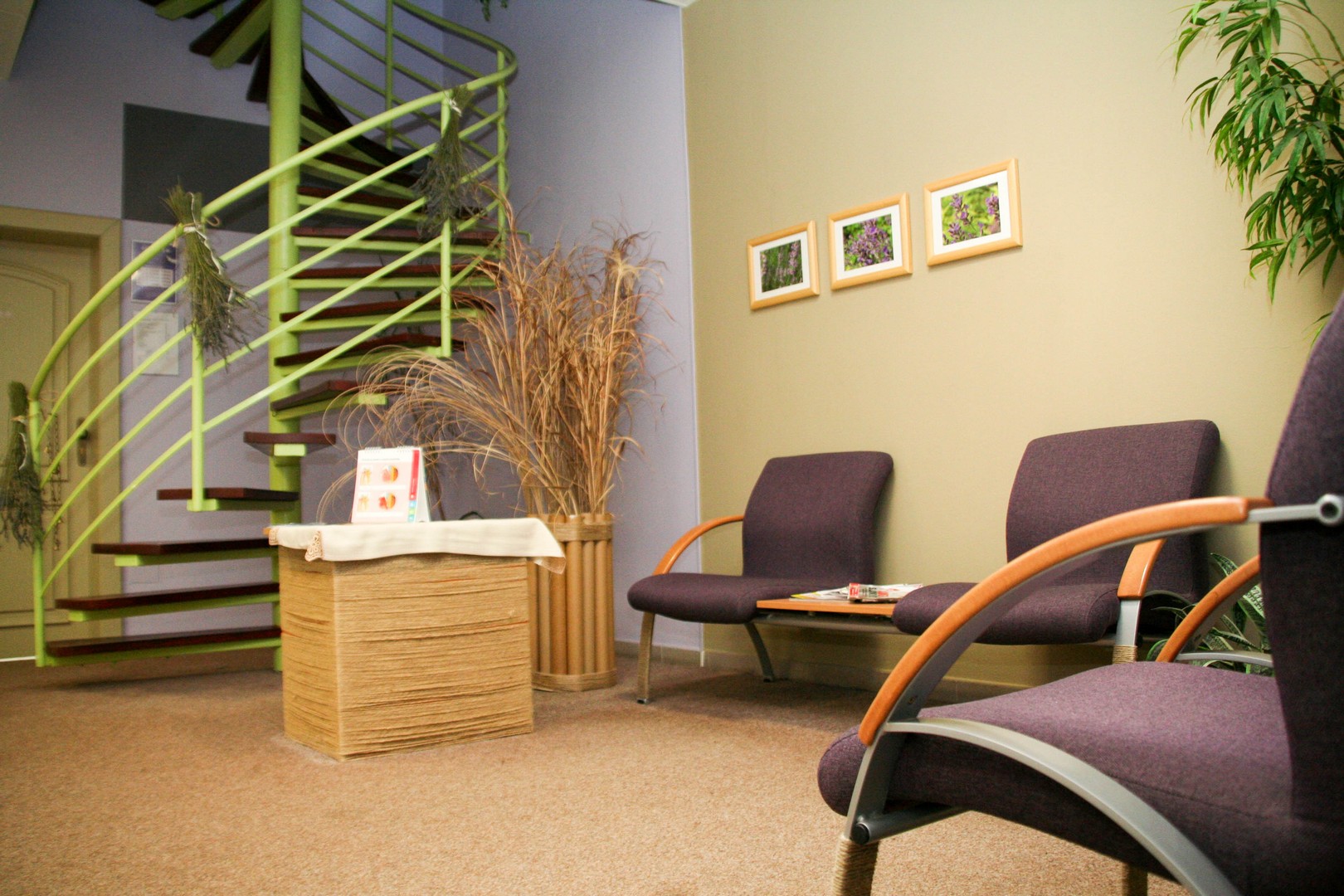 Dentální hygiena Pavlína Peterová foto 3