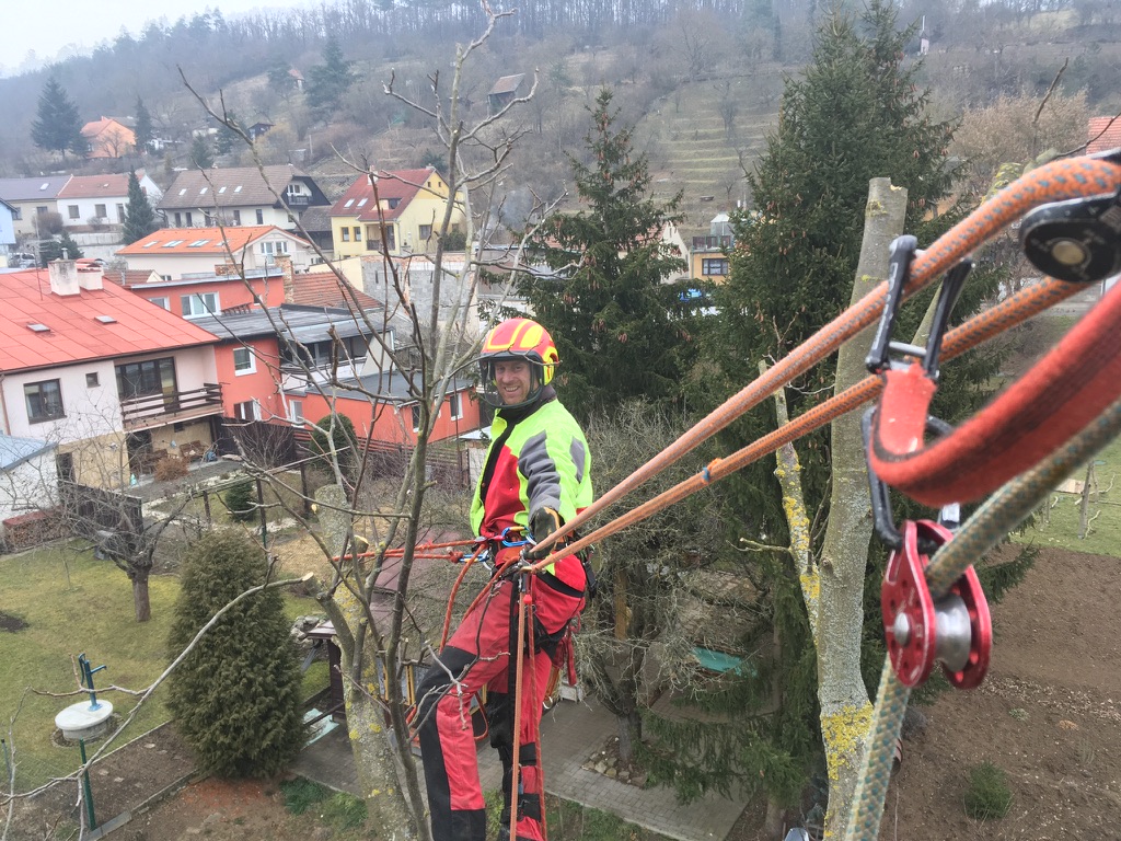 Rizikové kácení a ořezy stromů - Trojanec foto 4