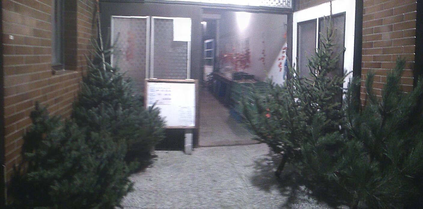 Vánoční stromky u Mišáků na dvoře foto 5