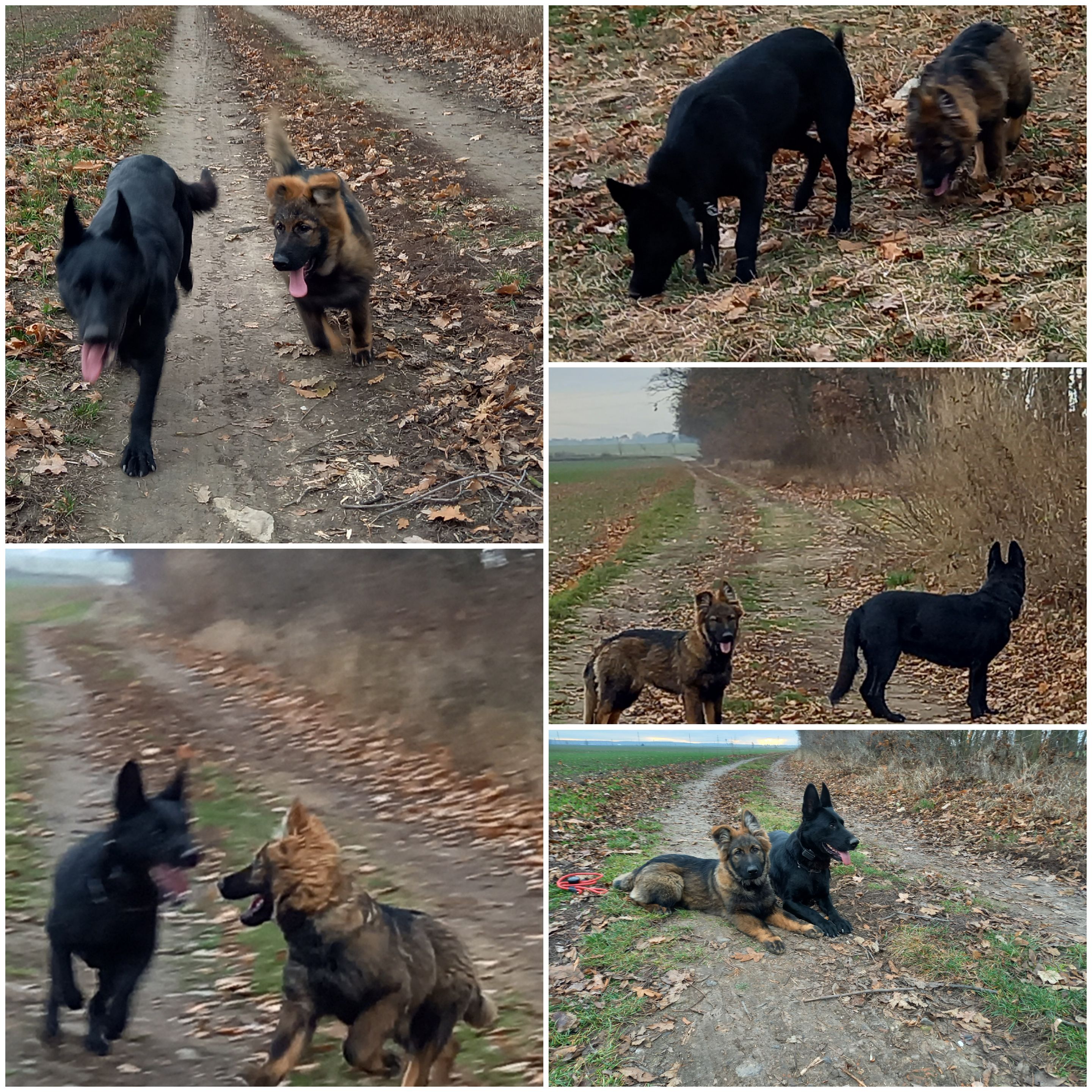 Ouřecký blesk foto 3