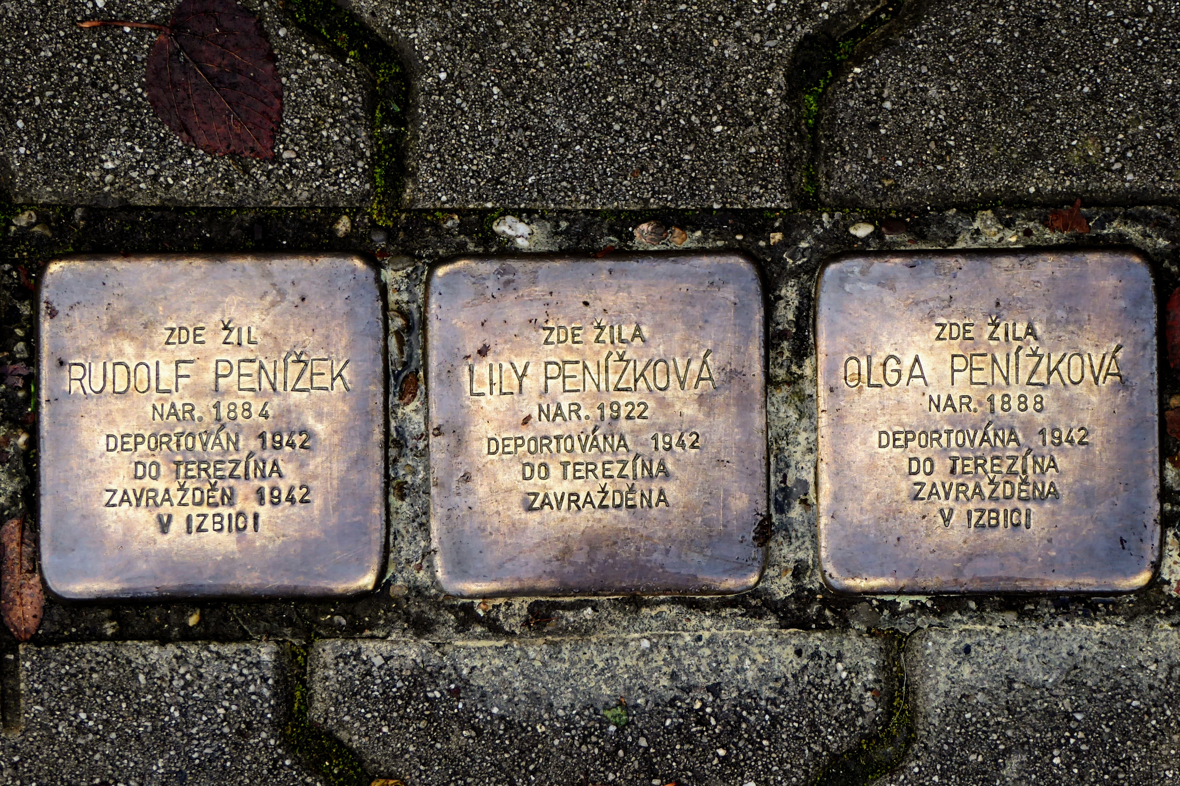 22. MŠ Plzeň foto 2