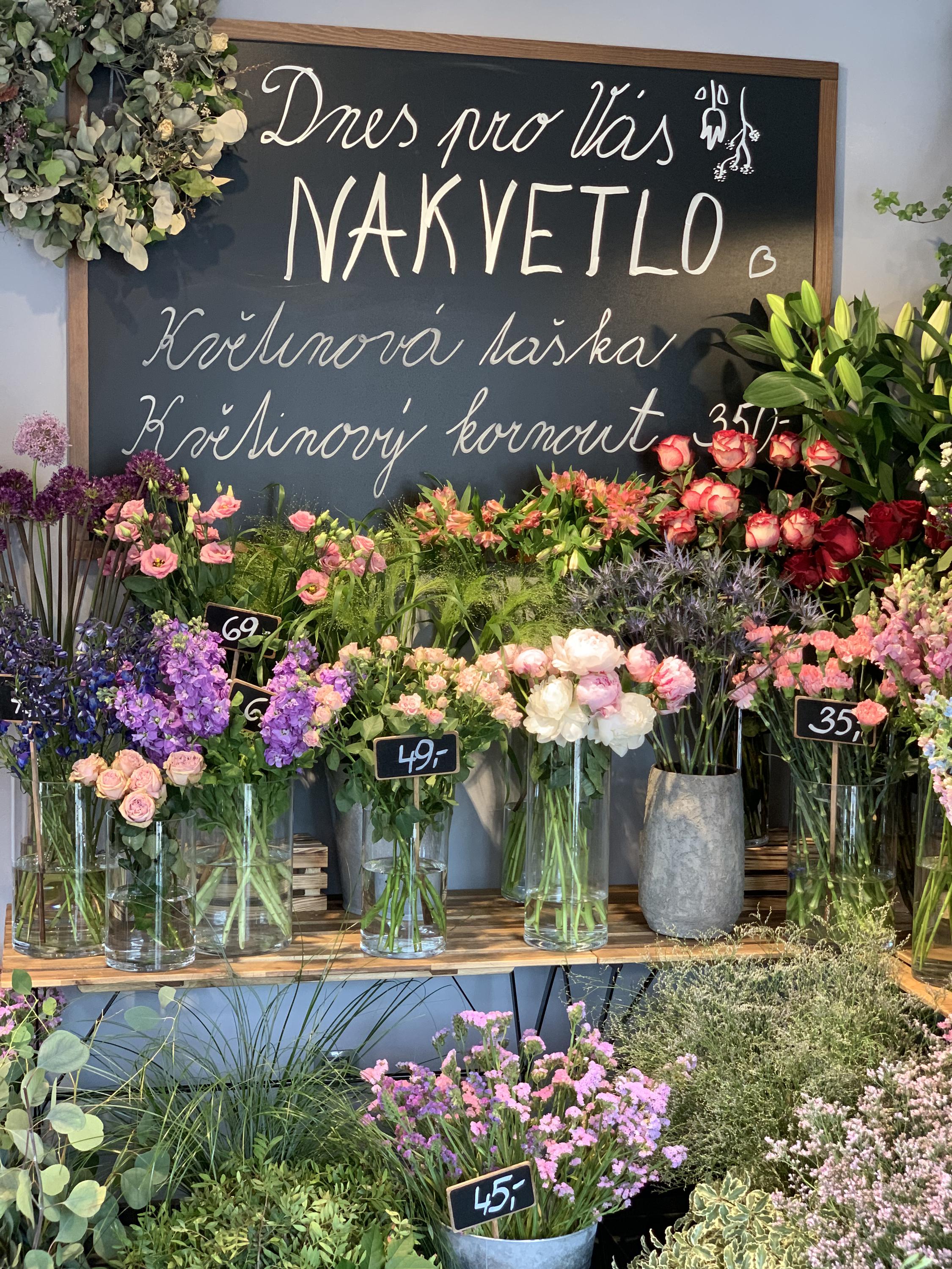 Nakvetlo.cz foto 6