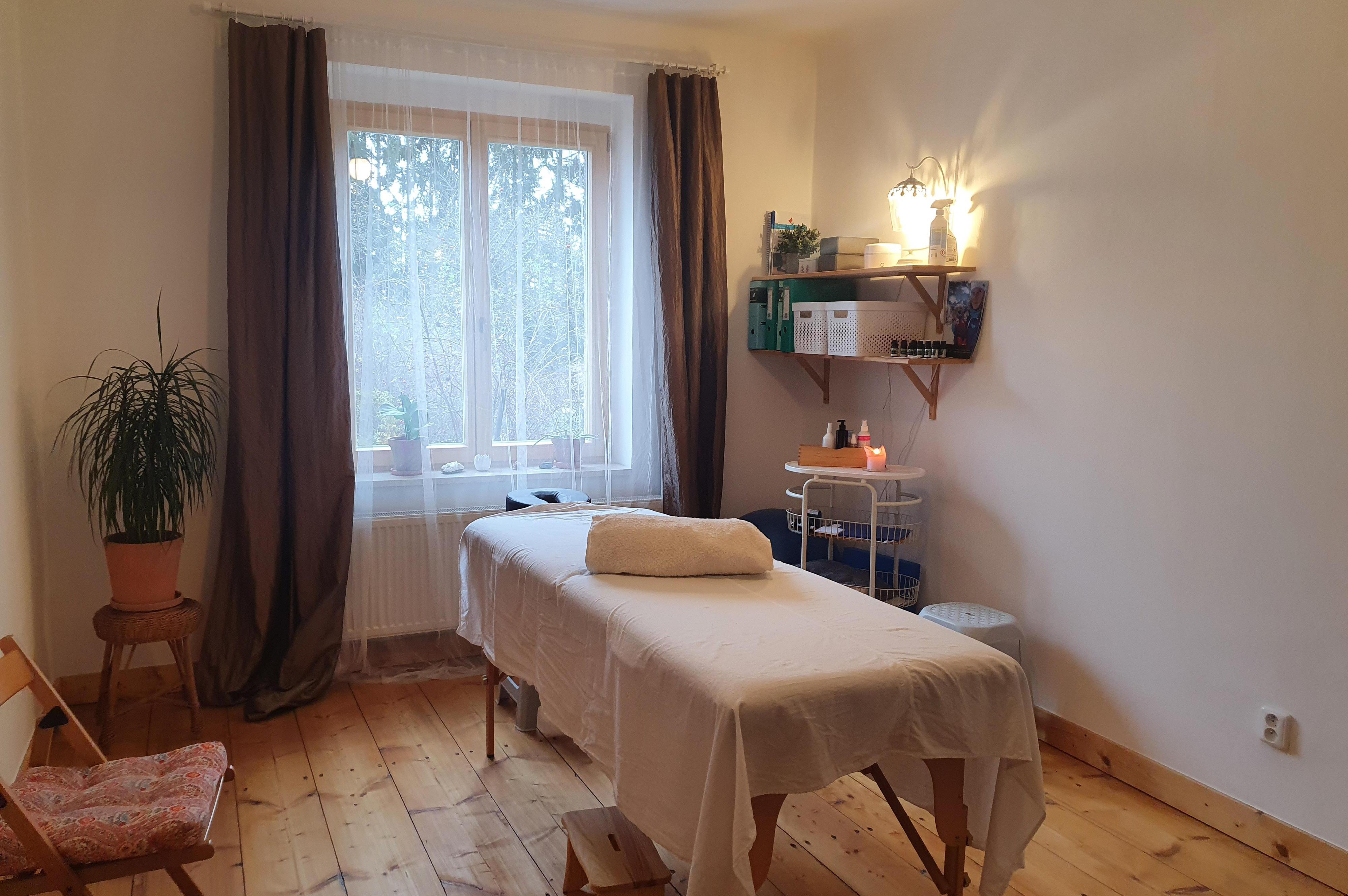 Bc. MICHALA ŠMÍDOVÁ DiS. -  Fyzioterapie