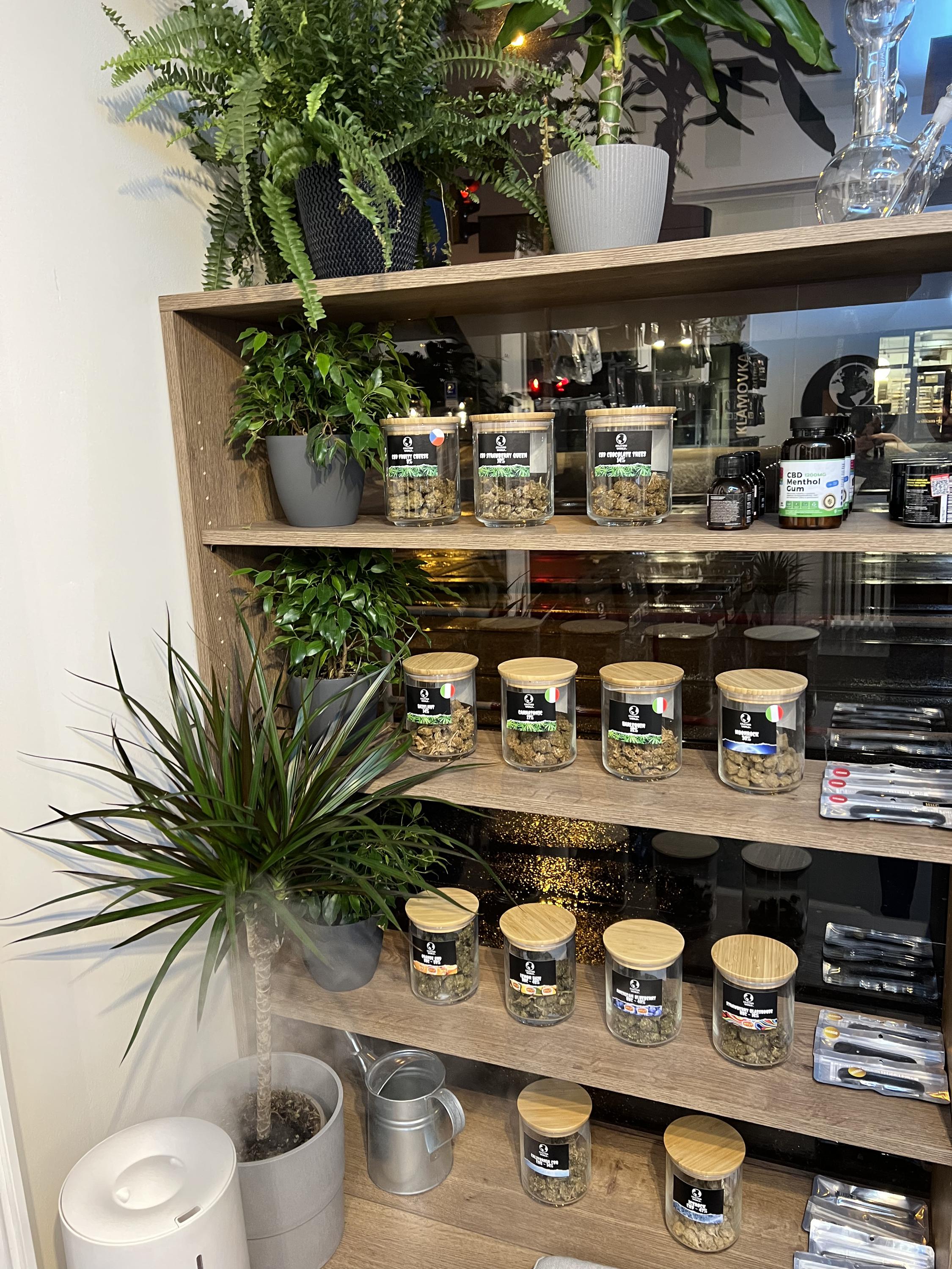 Kratom World foto 3