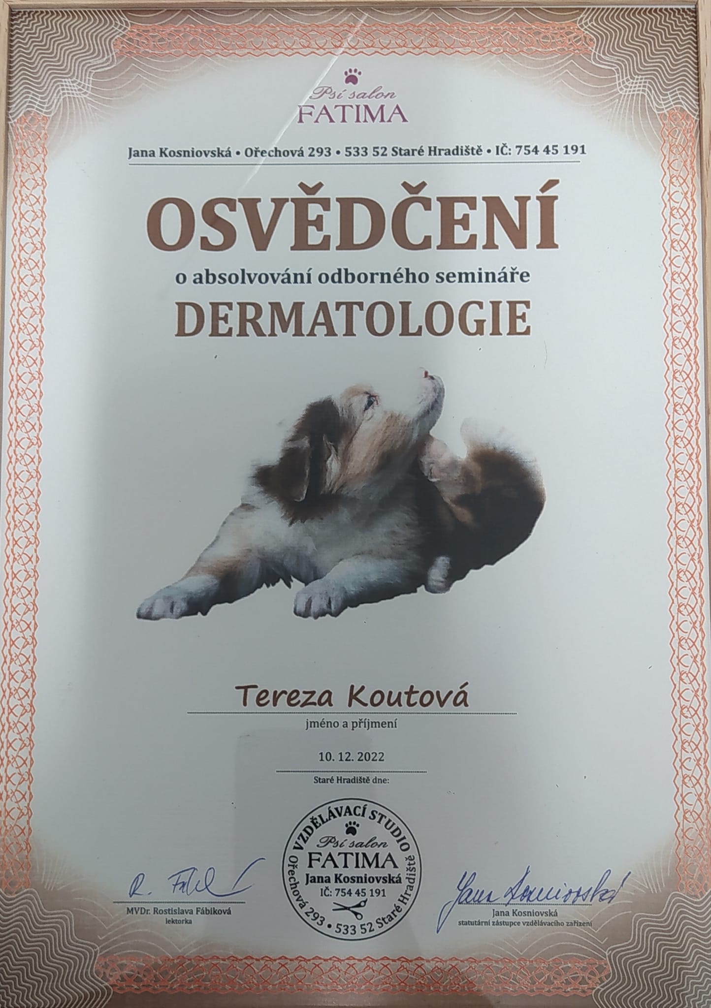 Psí Salon Jessie - Tereza Koutová foto 4
