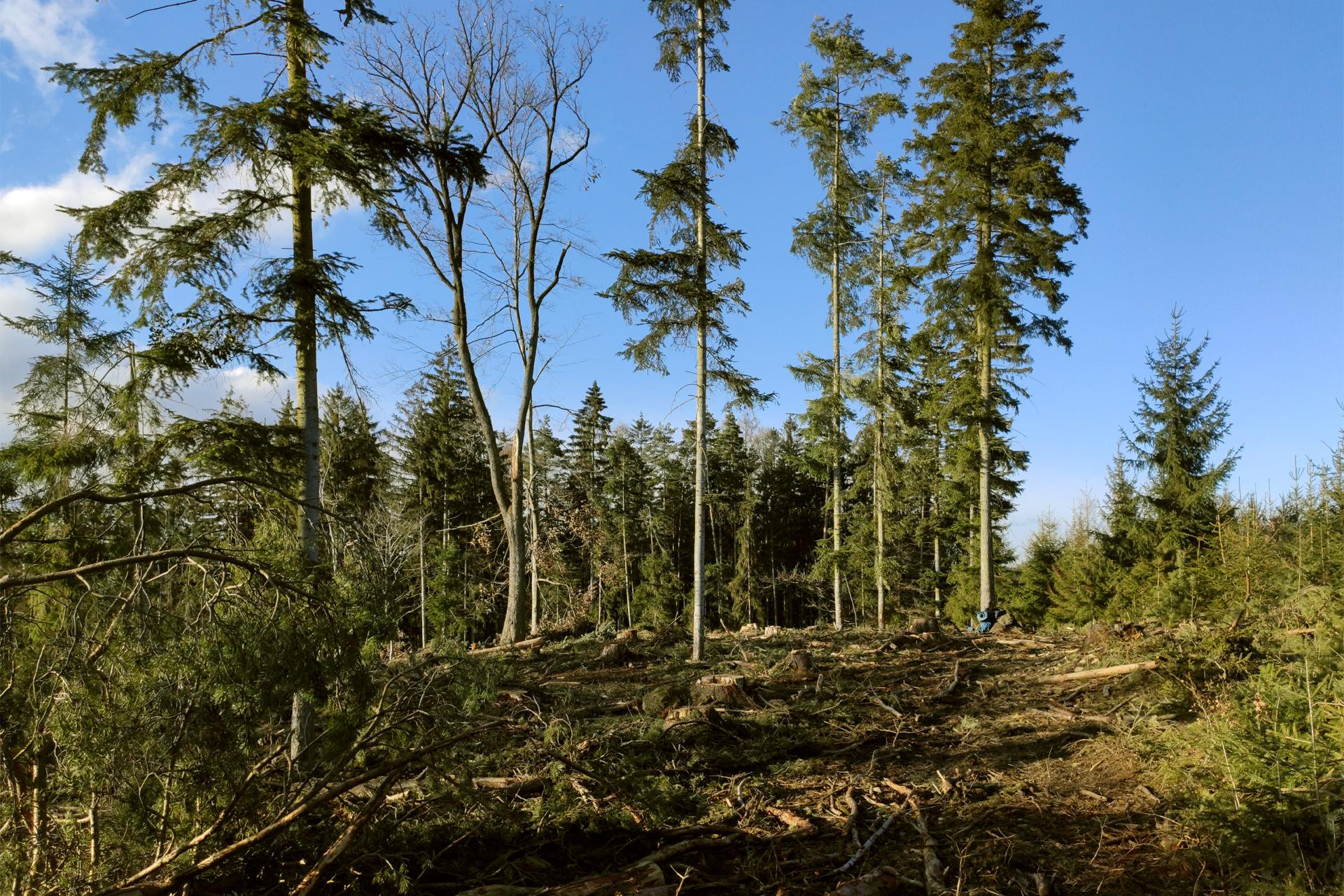 Modrý vrch | Bushcraft site Konice
