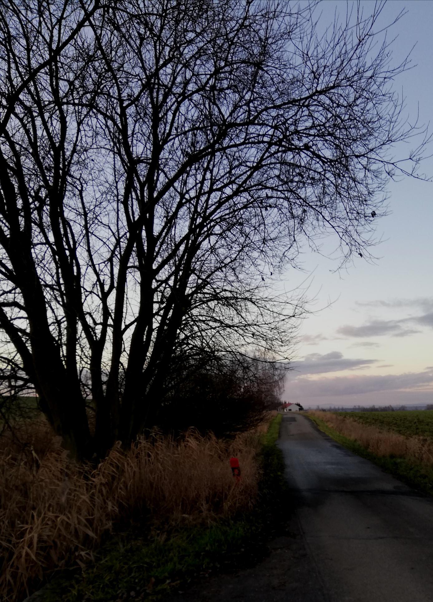 Libníkovice - obecní úřad foto 5