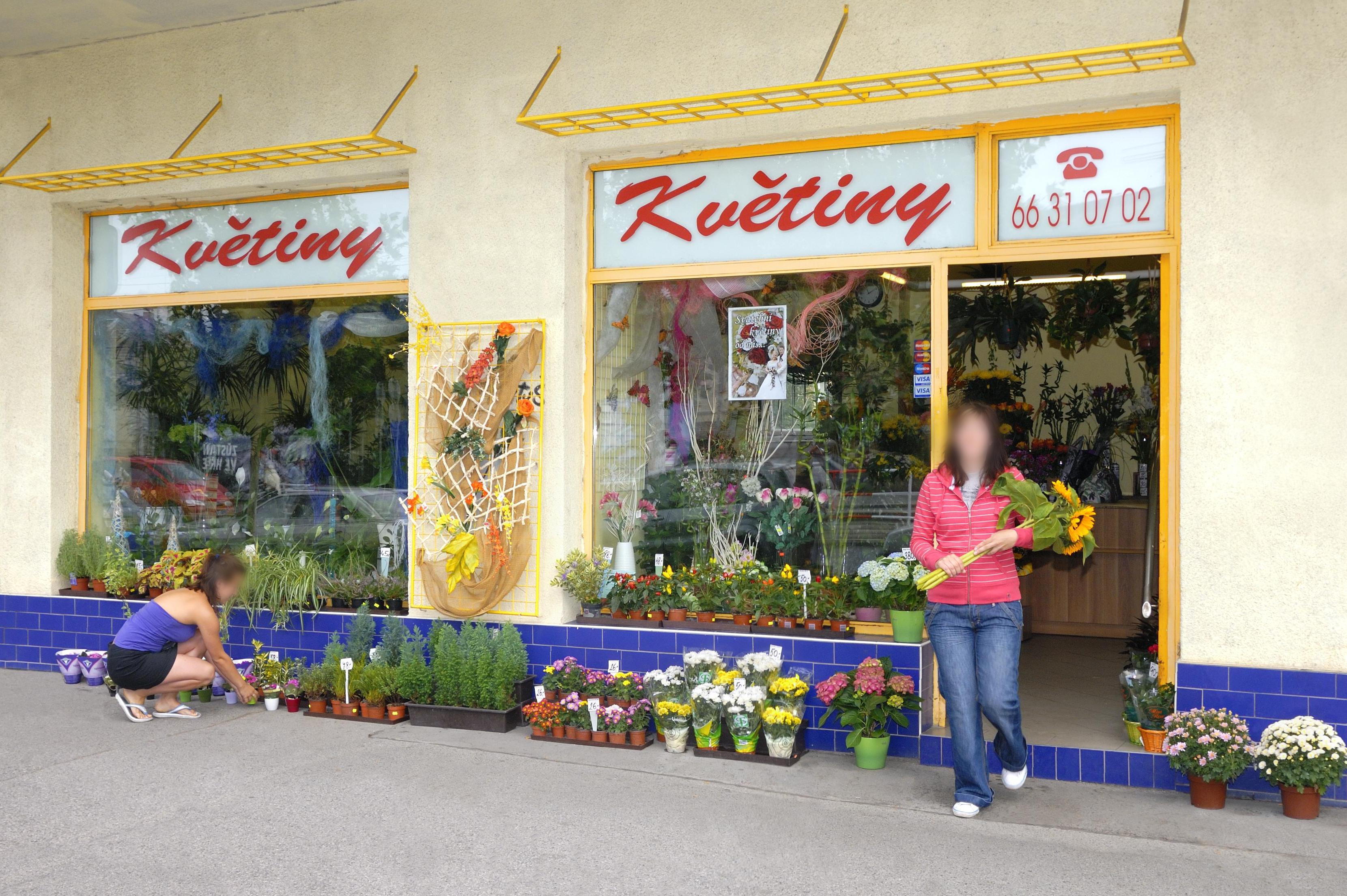 Daruj Květiny Jarov foto 1