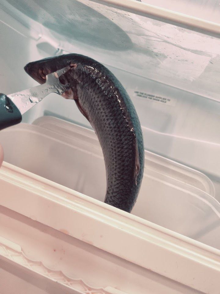 Mezinárodní speciality JOSEFOV foto 4