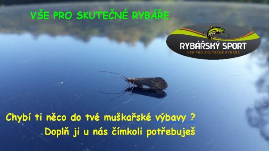 Rybářský sport Hradec Králové foto 3
