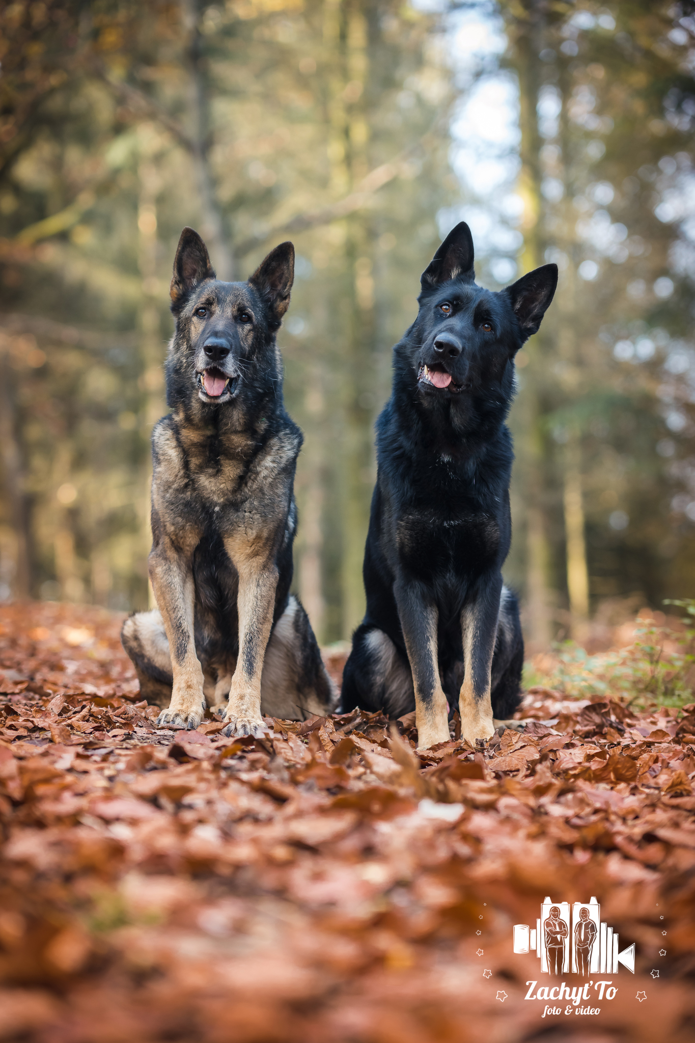 ZachyťTo.cz -  Foto & Video foto 4