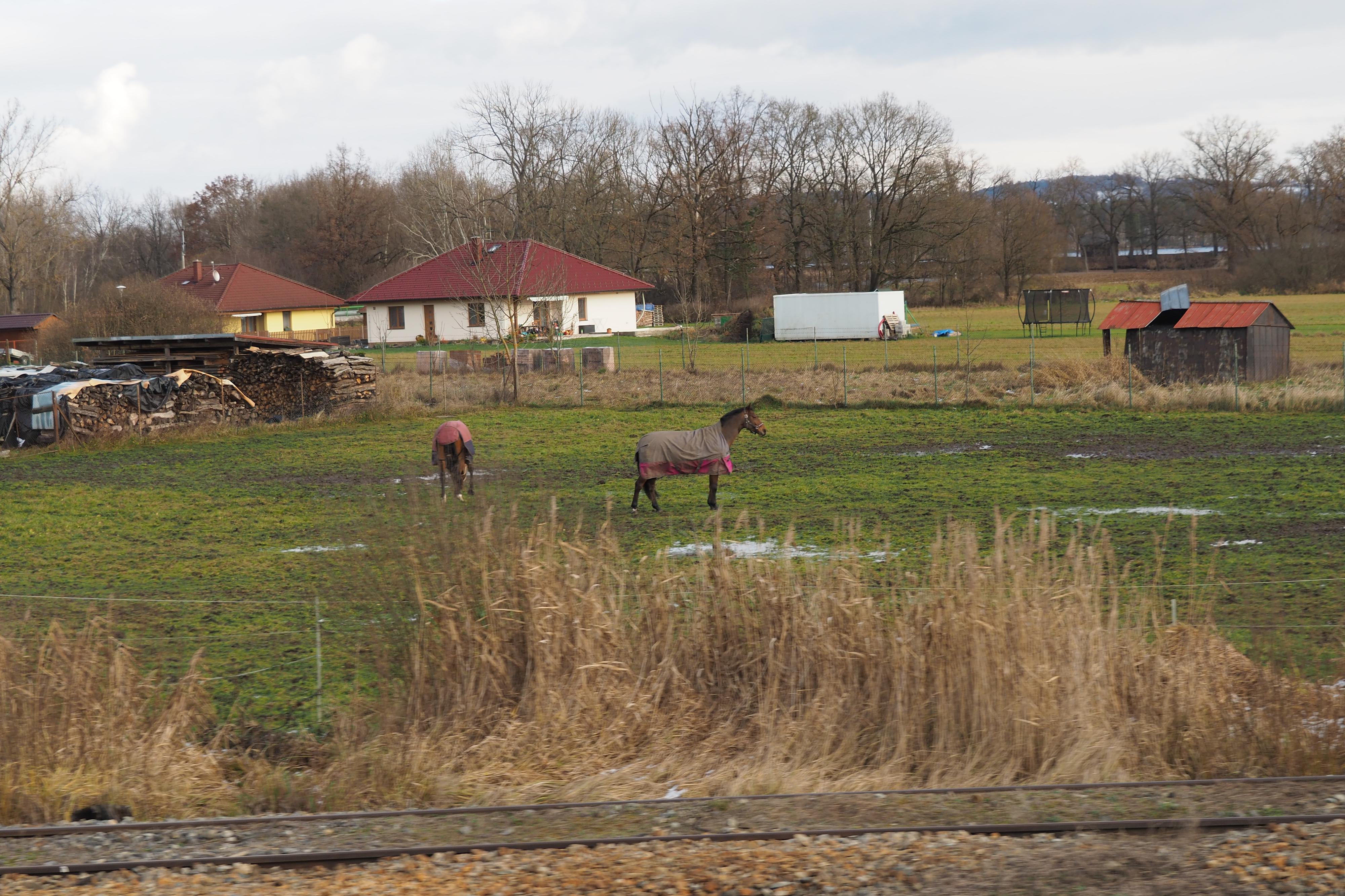 Jezdecký klub TANDEM