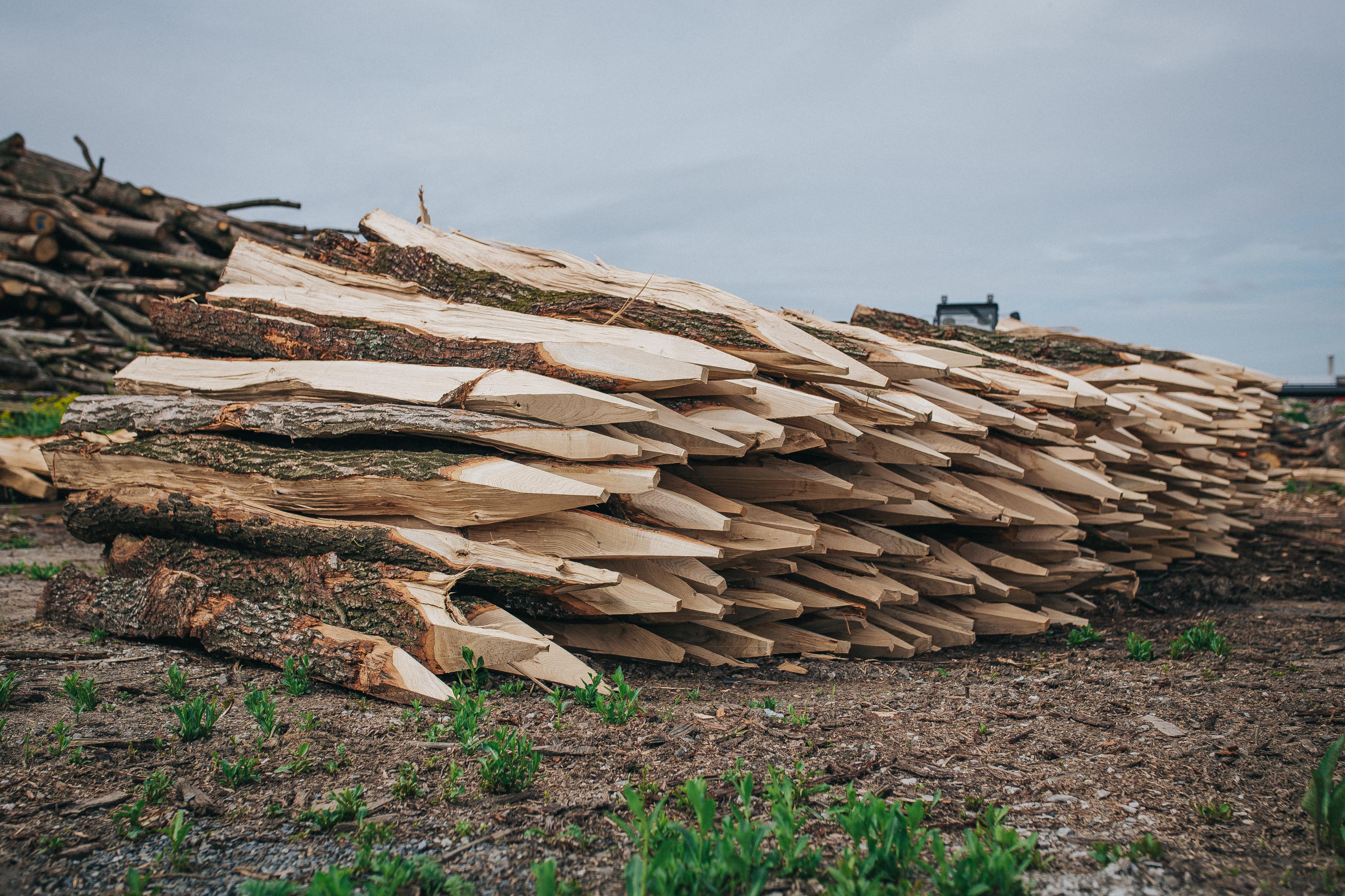 Dubové kůly - dub-kul.cz foto 2