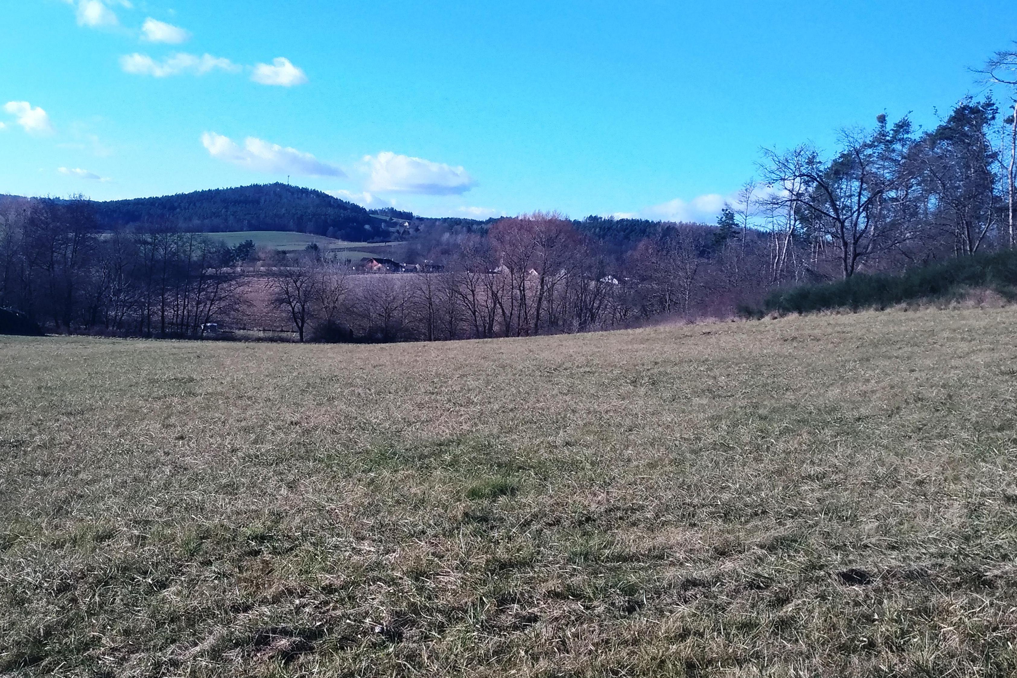 Jiří Bernas - reality