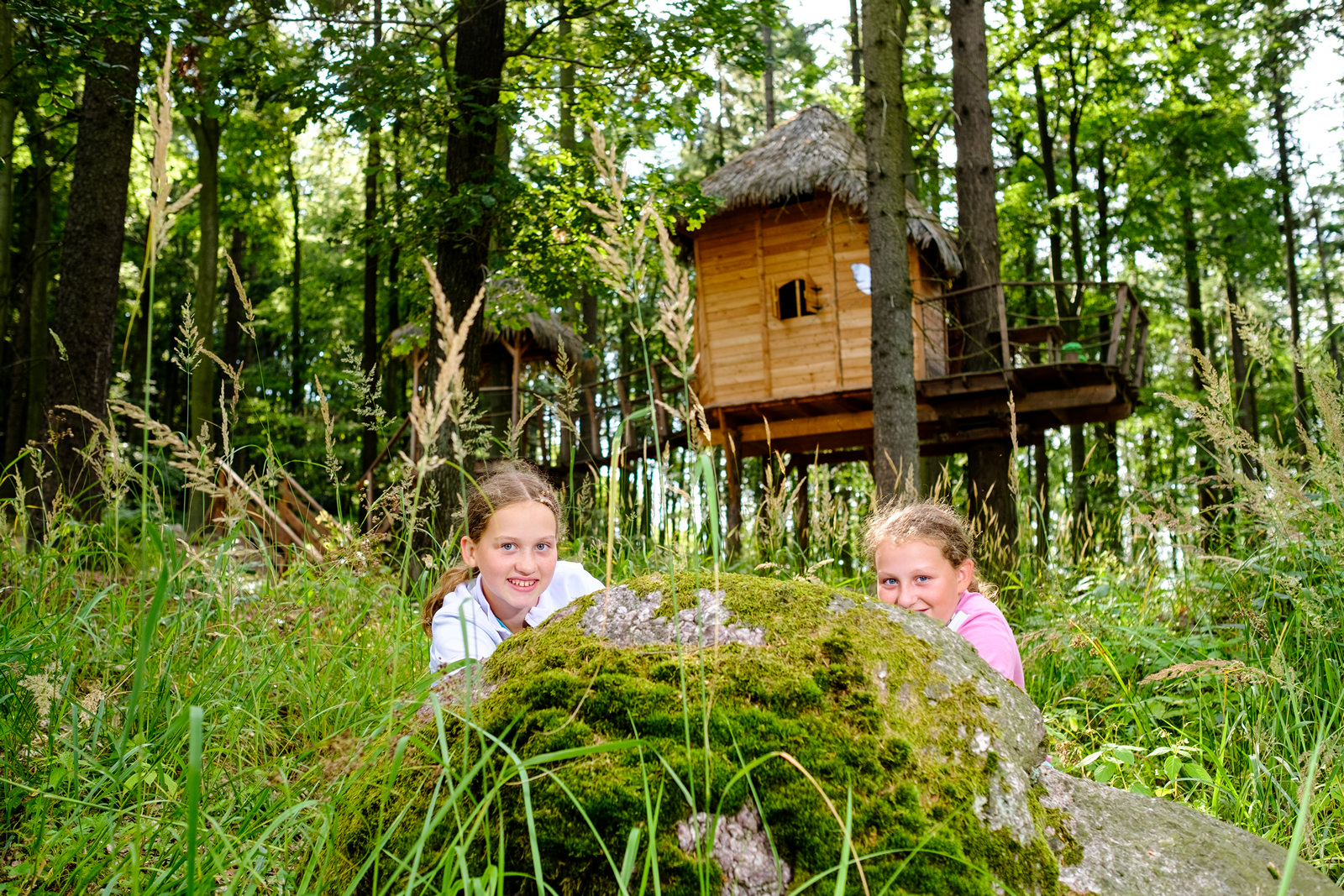 Tree house Sojčí hnízdo foto 3