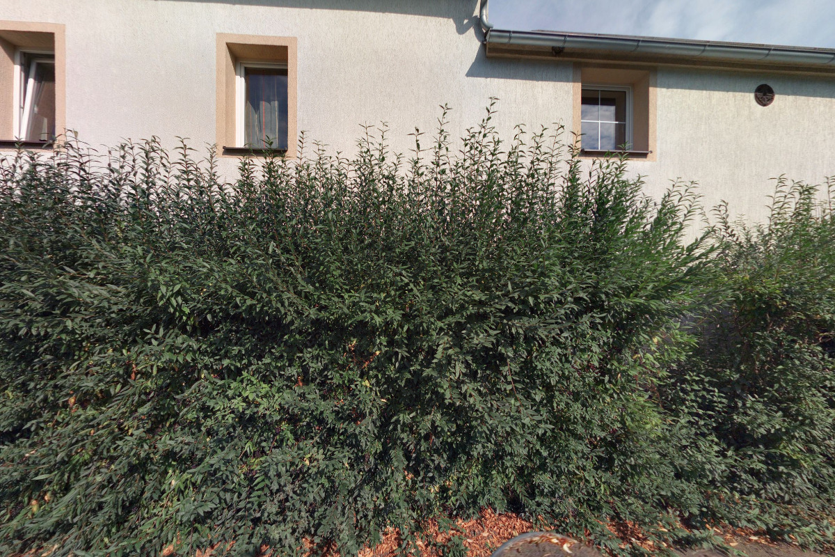 VČELAŘSTVÍ LOUDA KADAŇ