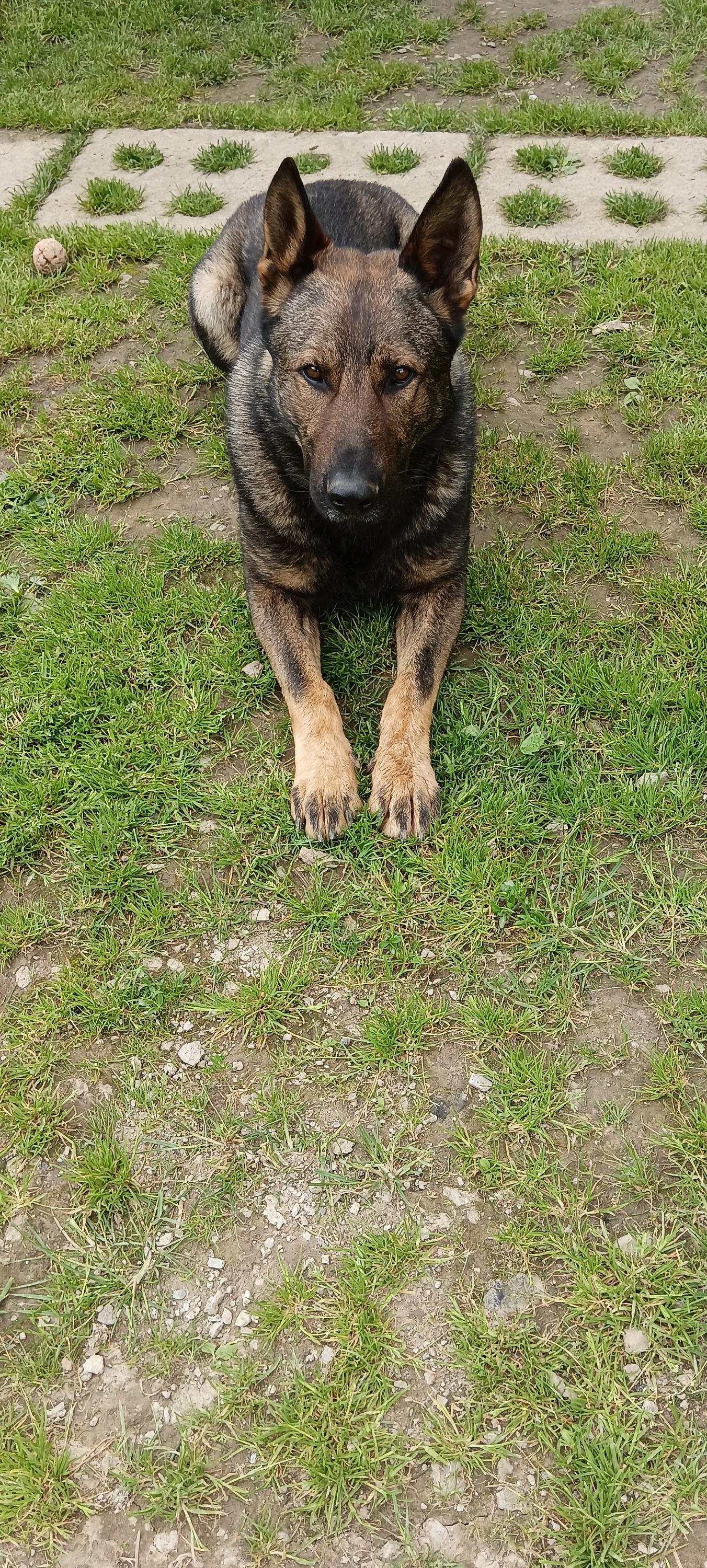 MVDr. Jan Kovář foto 2