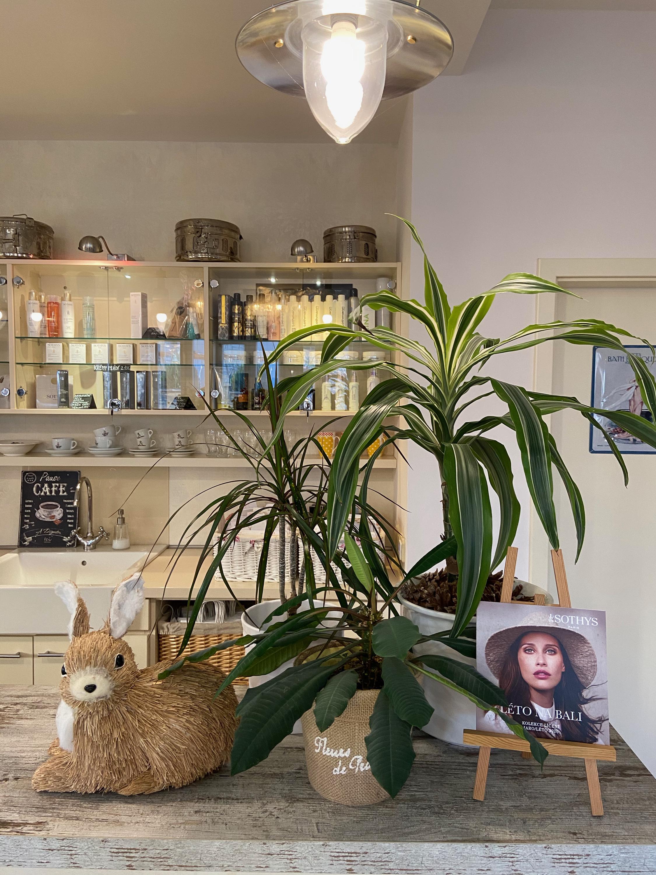 Studio Eliška foto 1