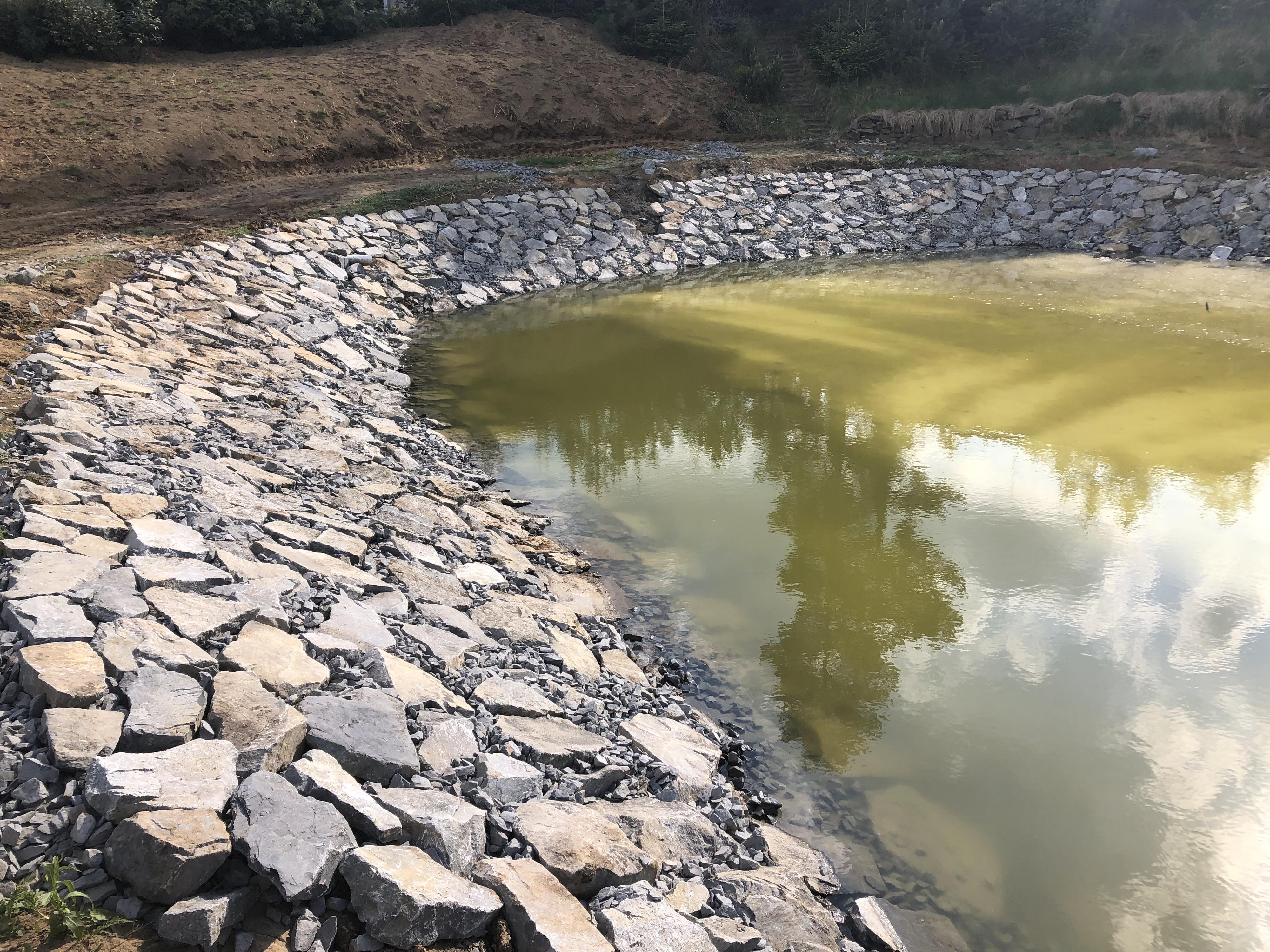 Martin Žádník - kontejnerová doprava, zemní práce, demolice foto 4