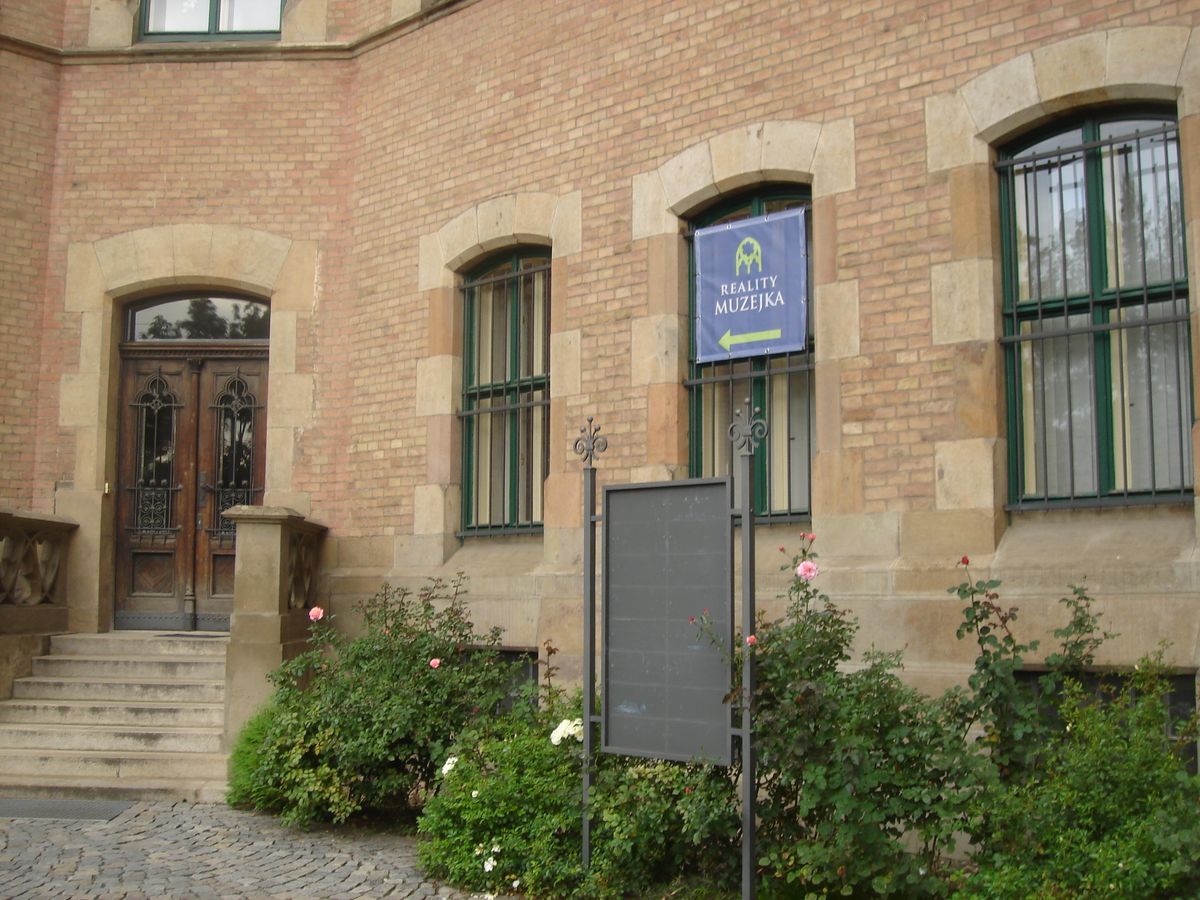 GEPARD REALITY/ REALITY MUZEJKA foto 6