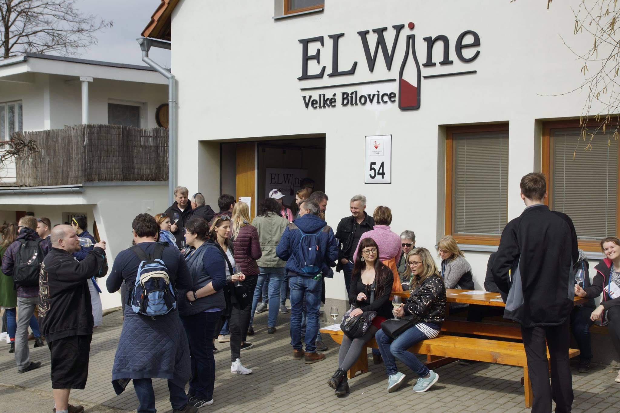 Vinařství ELWINE Velké Bílovice s.r.o. foto 5