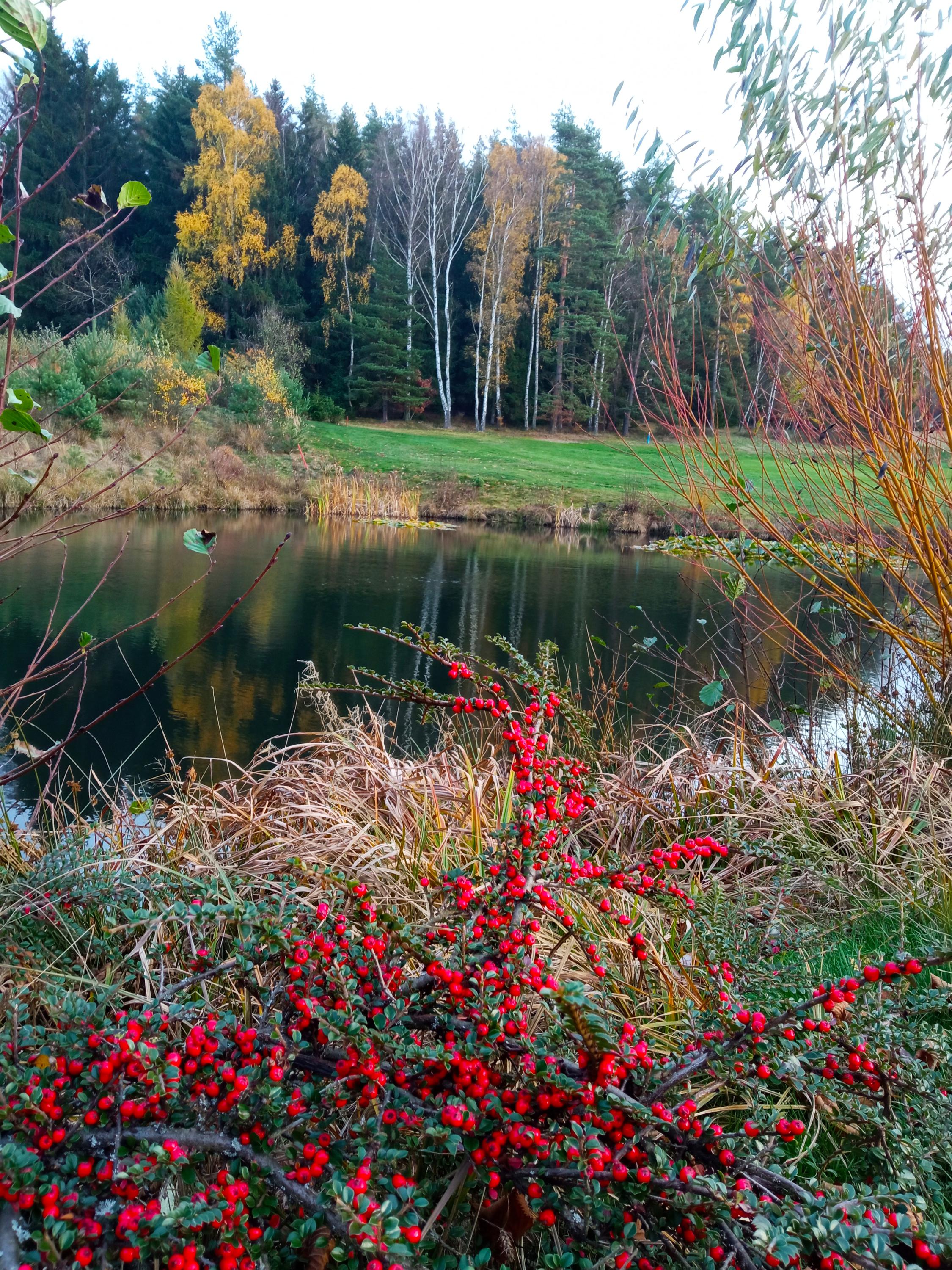 Golf Resort Karlovy Vary foto 4