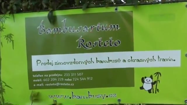 Bambusy.cz - Bambusové zahradnictví Rosteto s.r.o. foto 2 (náhled videa)