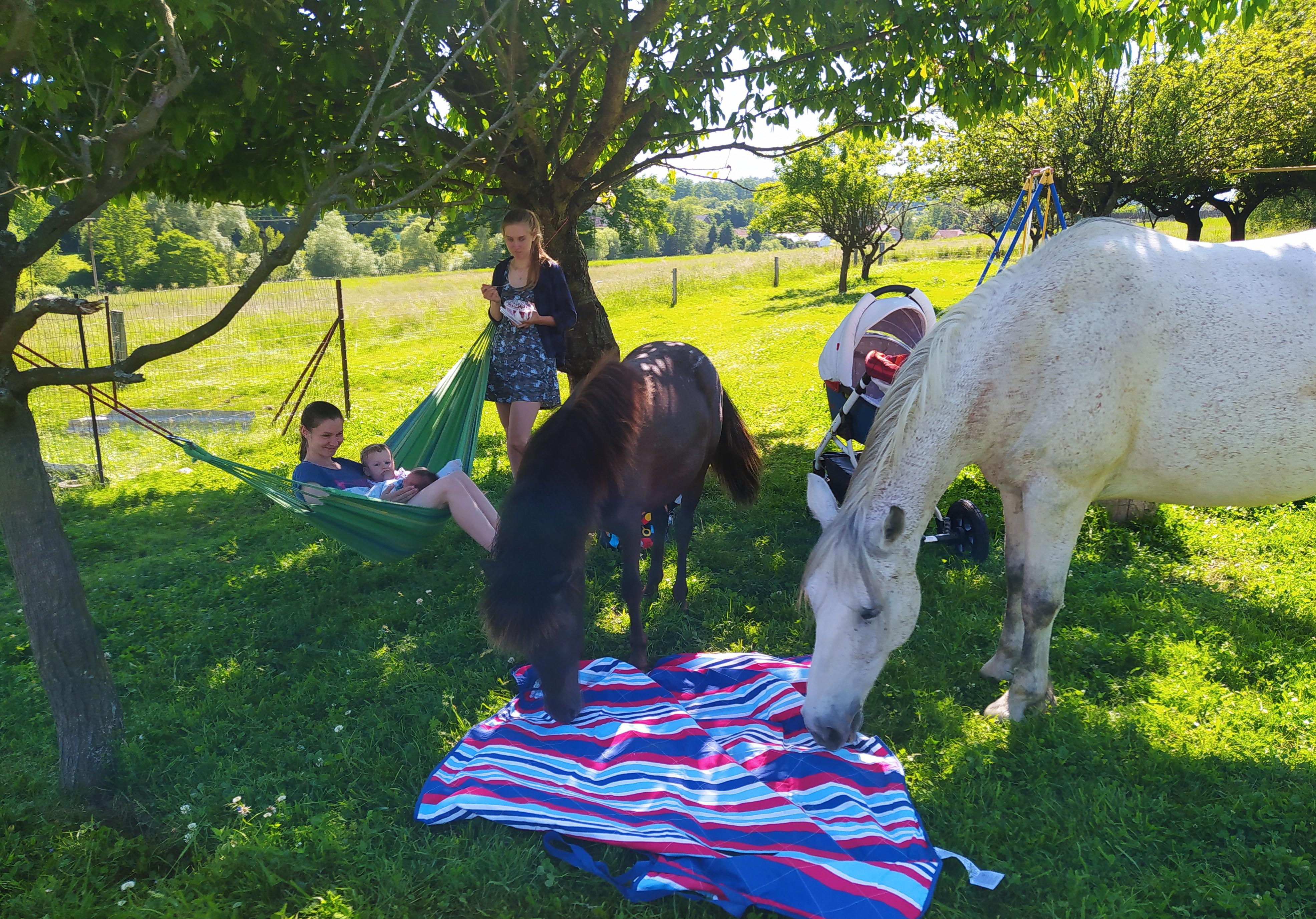 Farma na Kopečku foto 5