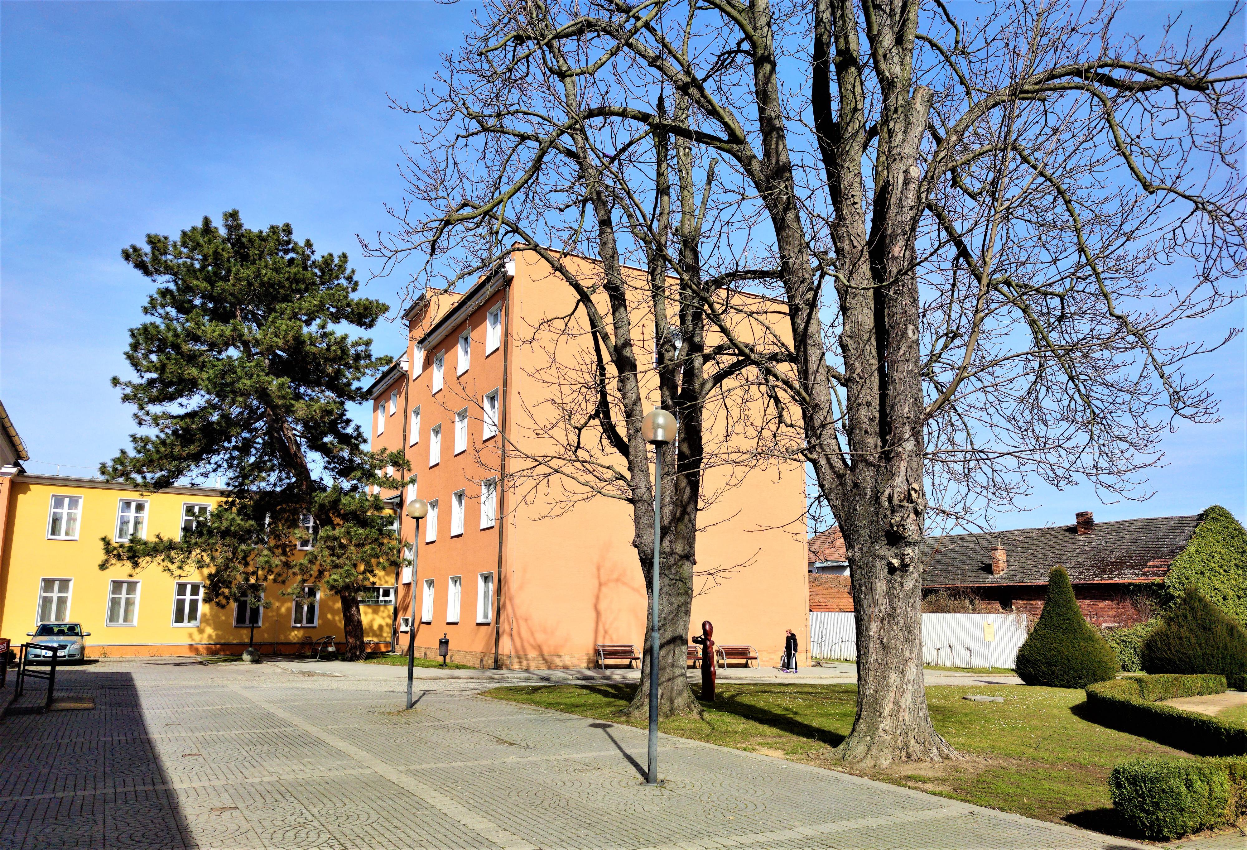 Lázeňský dům Mánes ** foto 6