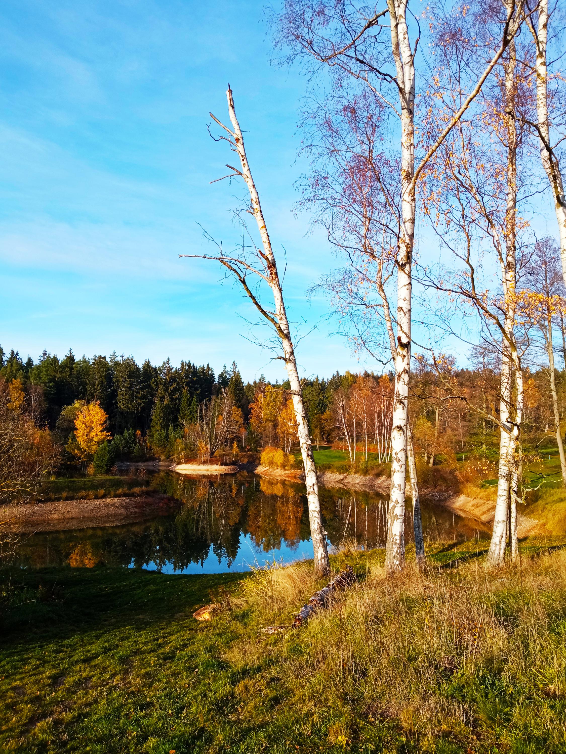Golf Resort Karlovy Vary foto 3