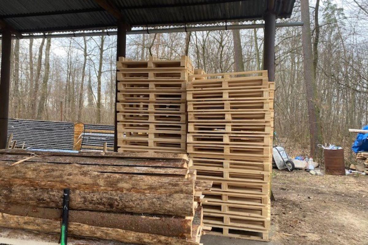 Jana Cápková - pila