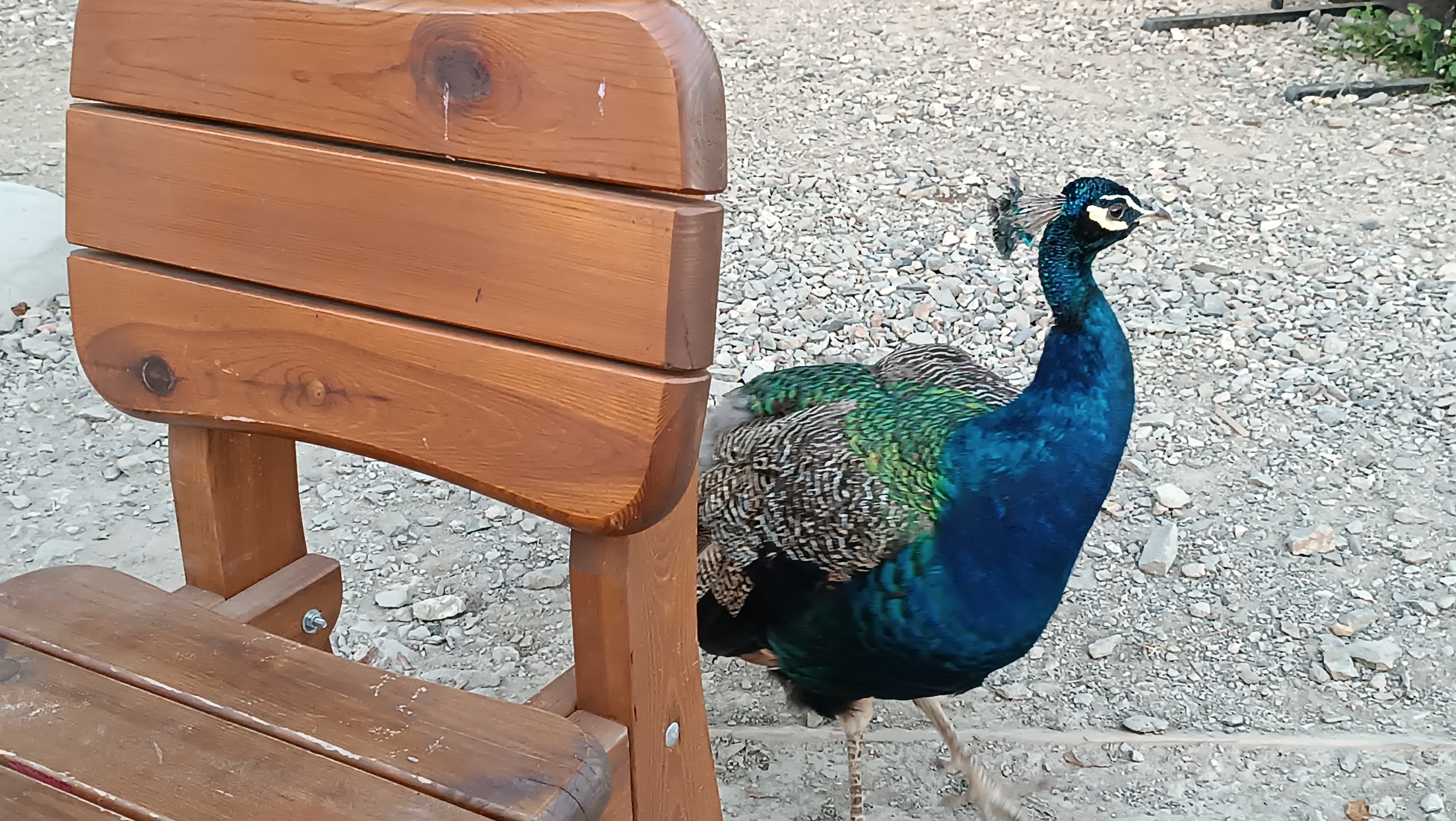 Dobré místo Újezdec foto 6