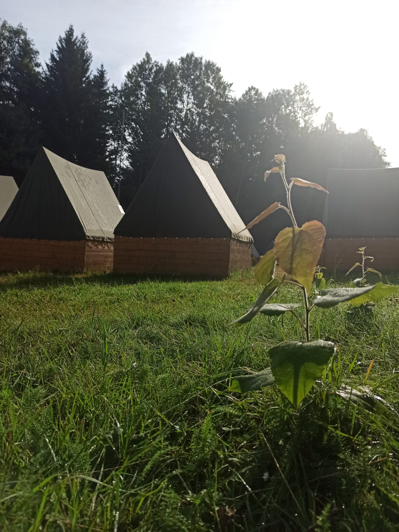 Skautská základna Líčov foto 6