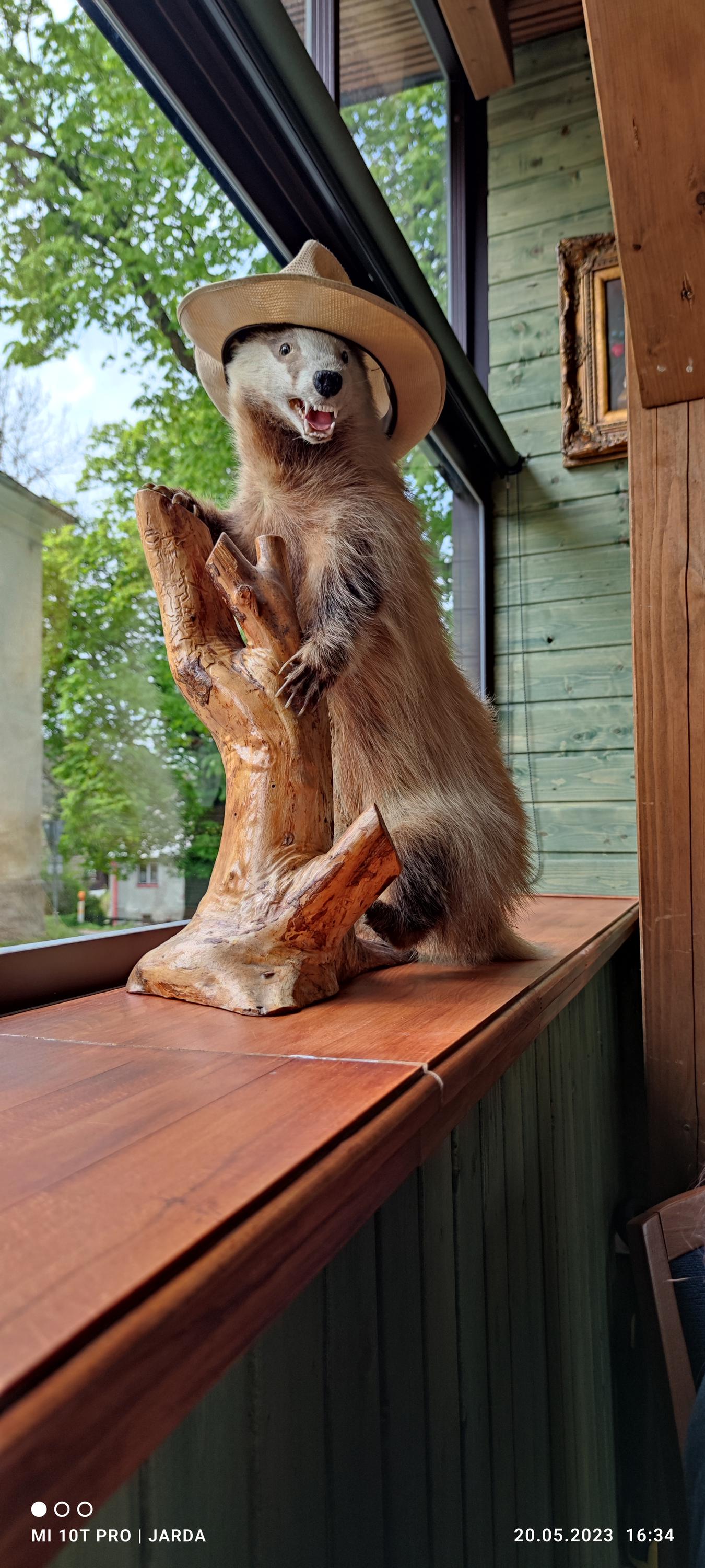 Penzion Zvonice Hojná Voda foto 2
