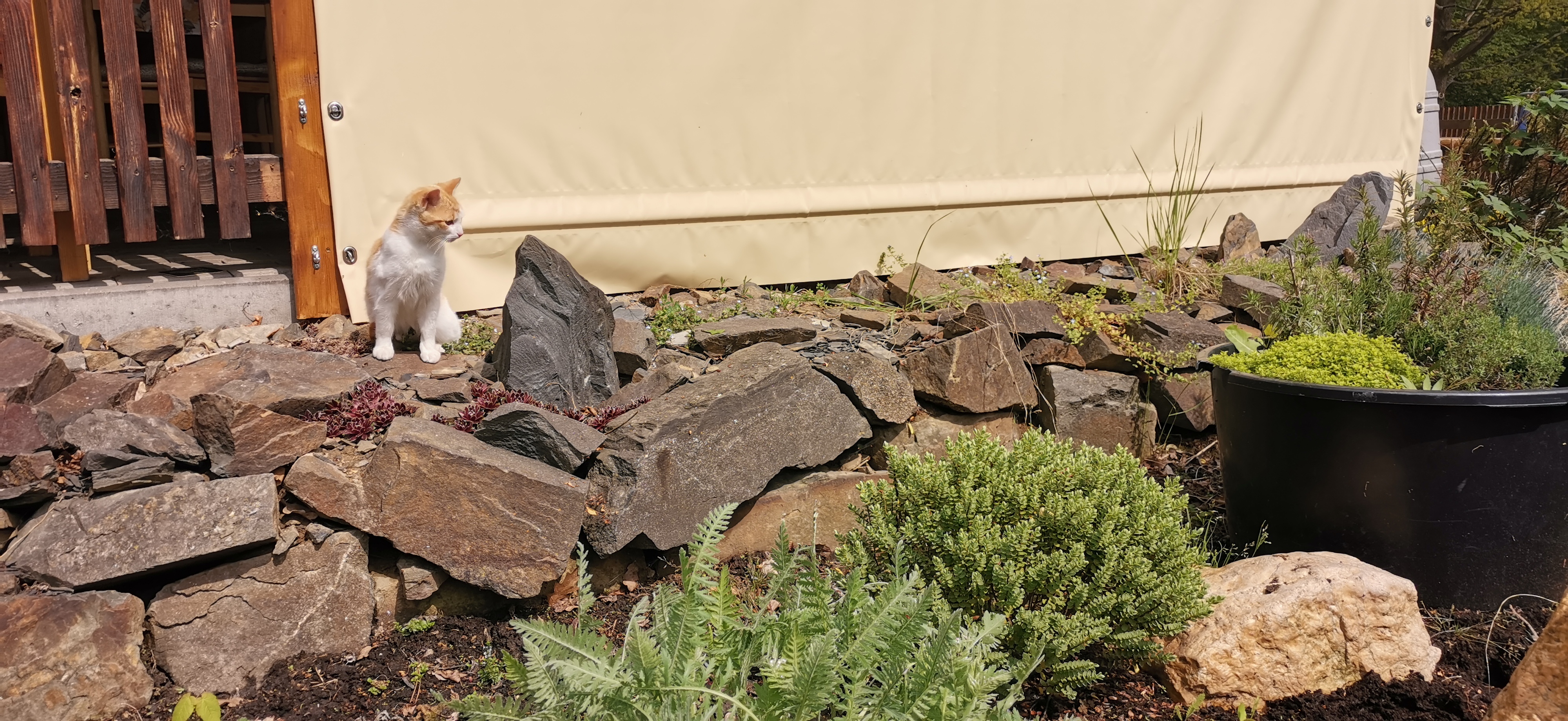 Restaurace Pod zámkem foto 2