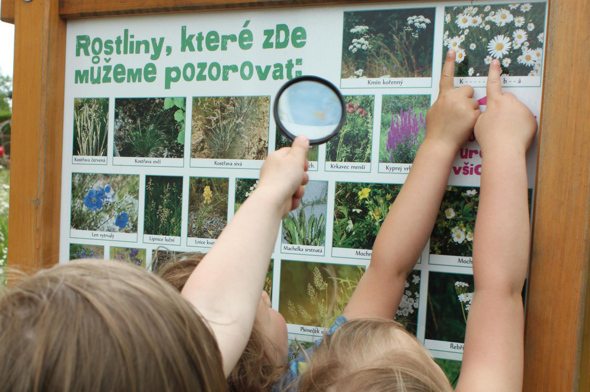 Mateřská škola Řestoky