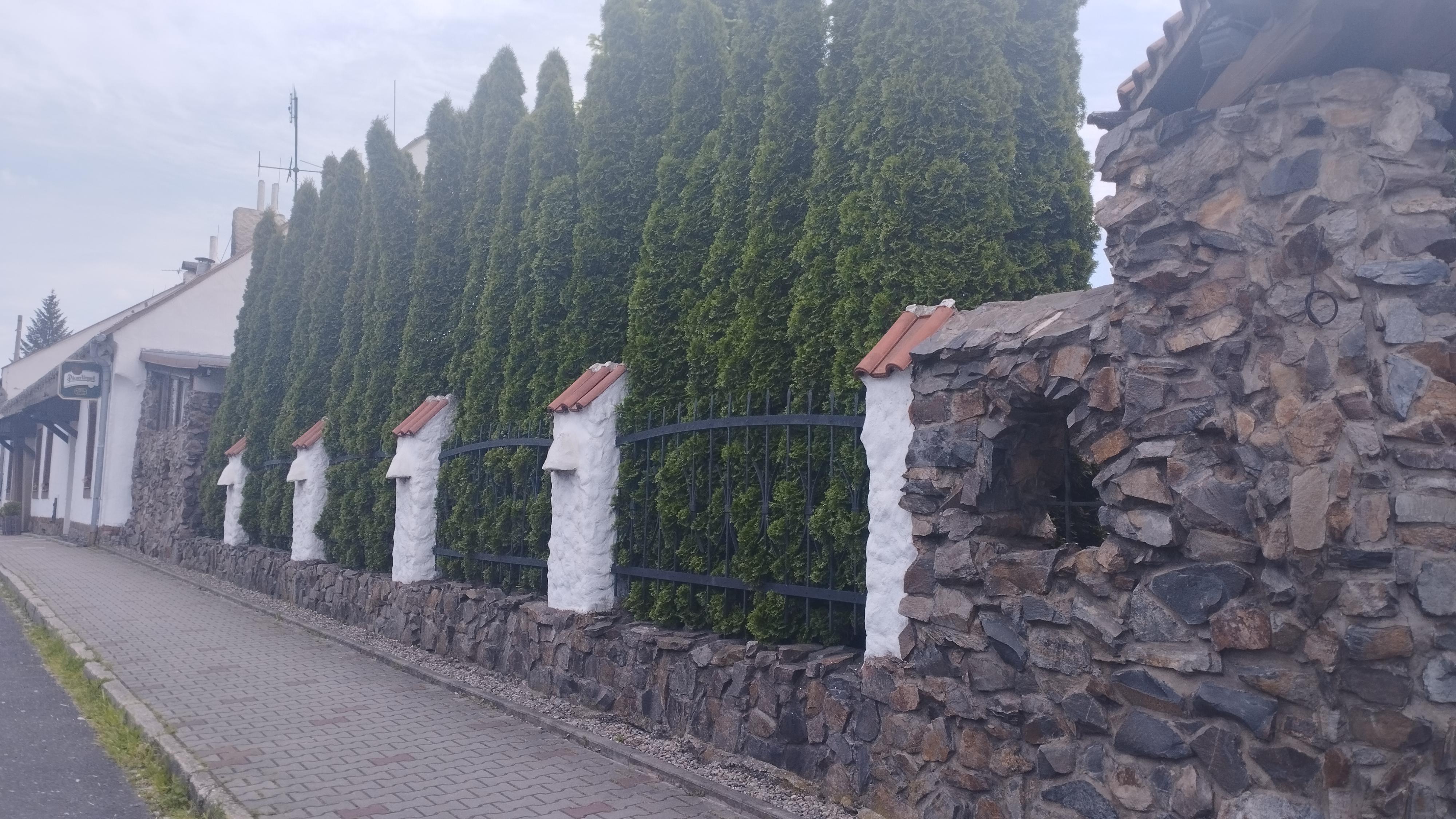 Restaurace "my GRILL STATION" - Střelnice foto 2