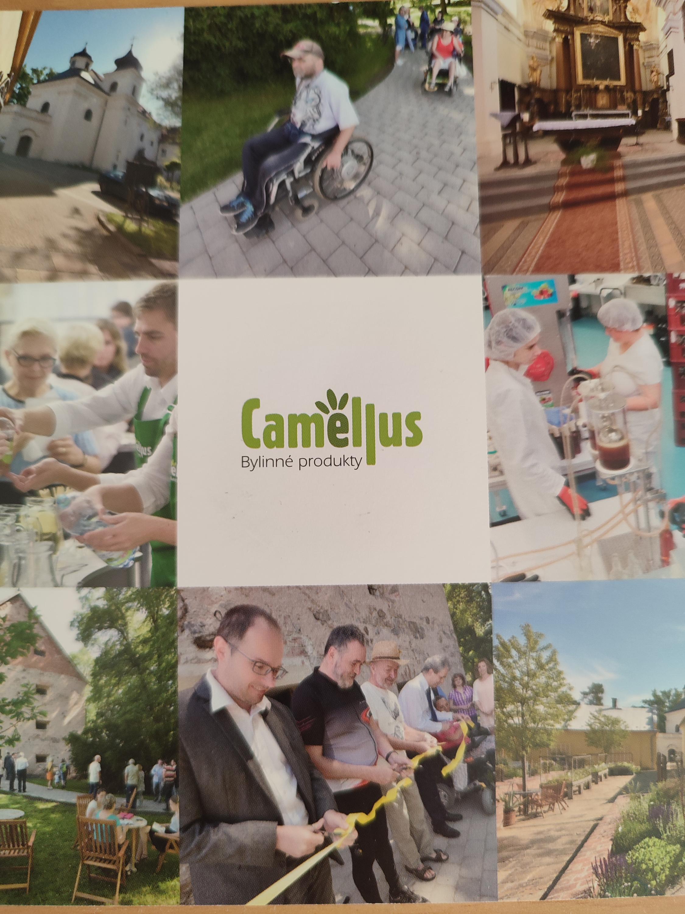 Camellus.cz foto 6
